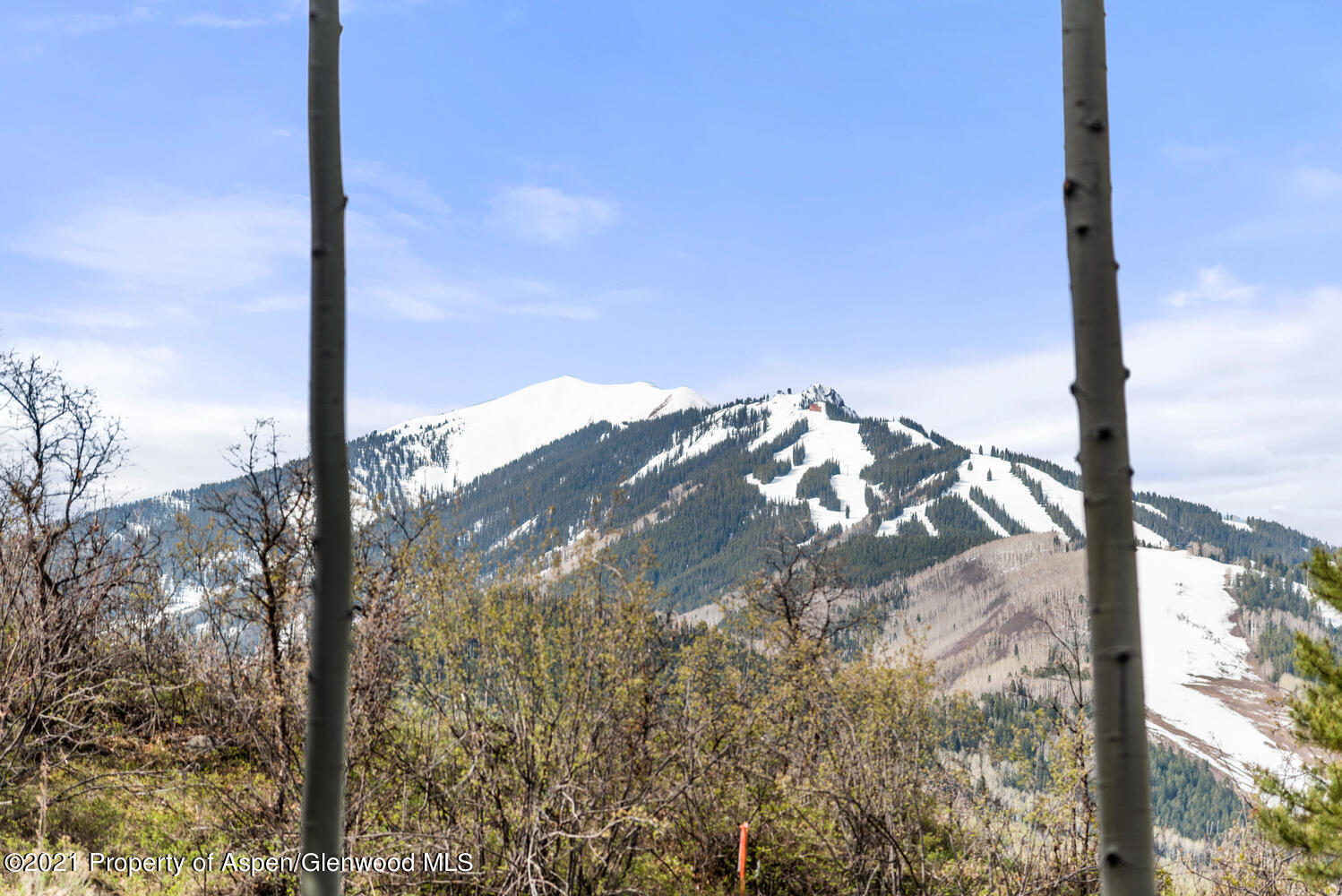 763 Willoughby Way Aspen CO 81611