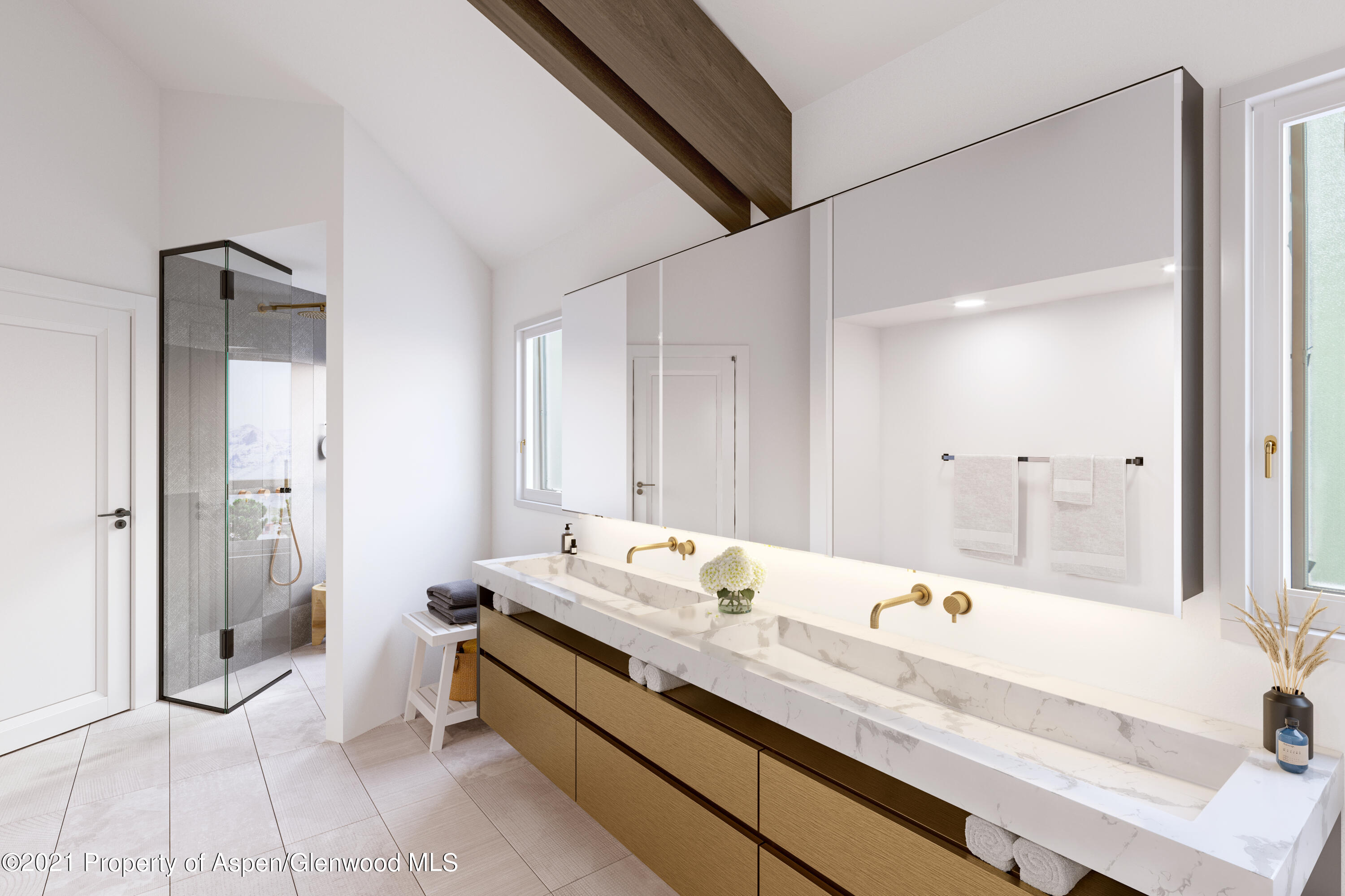 763 Willoughby Way Aspen CO 81611