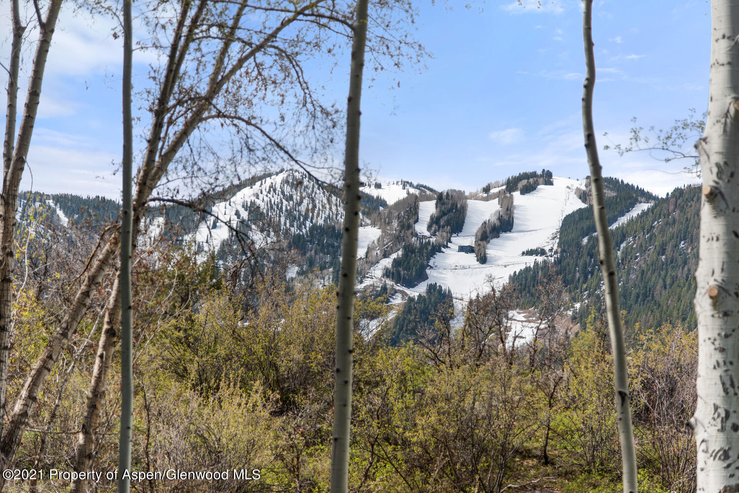 763 Willoughby Way Aspen CO 81611