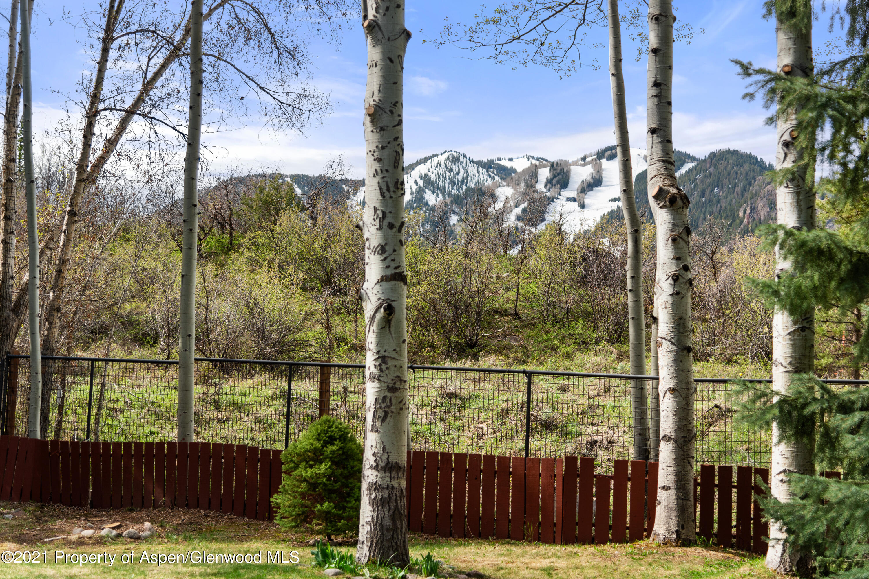 763 Willoughby Way Aspen CO 81611