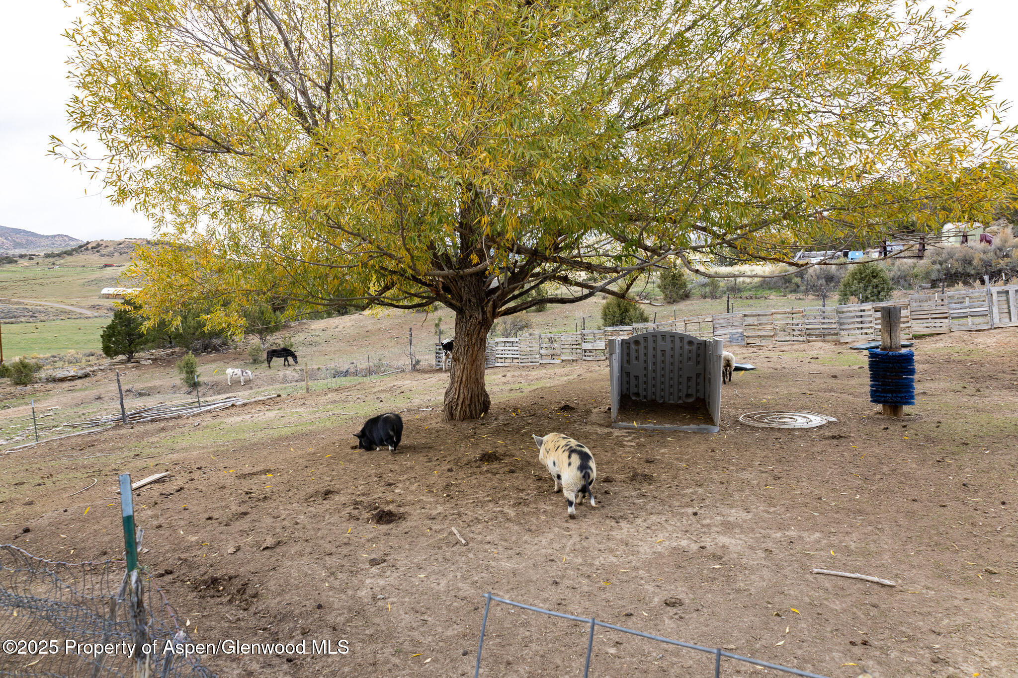 6322 County Road 7 Meeker CO 81641