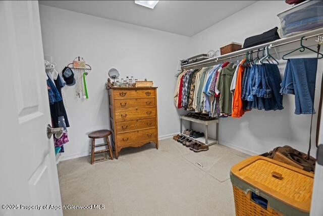 1040 Prong Horn Road Craig CO 81625