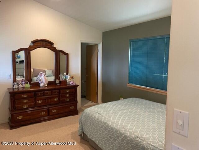 642 Panorama Drive Carbondale CO 81623