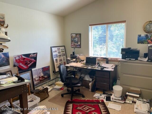 642 Panorama Drive Carbondale CO 81623