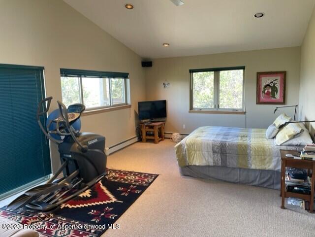 642 Panorama Drive Carbondale CO 81623