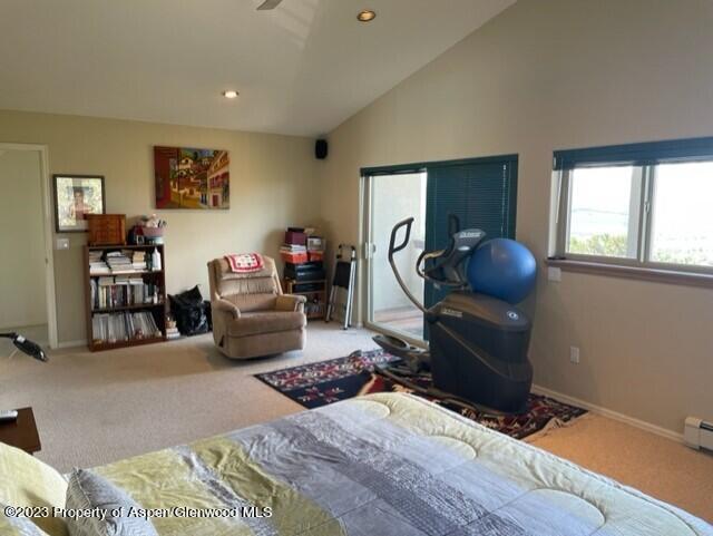 642 Panorama Drive Carbondale CO 81623