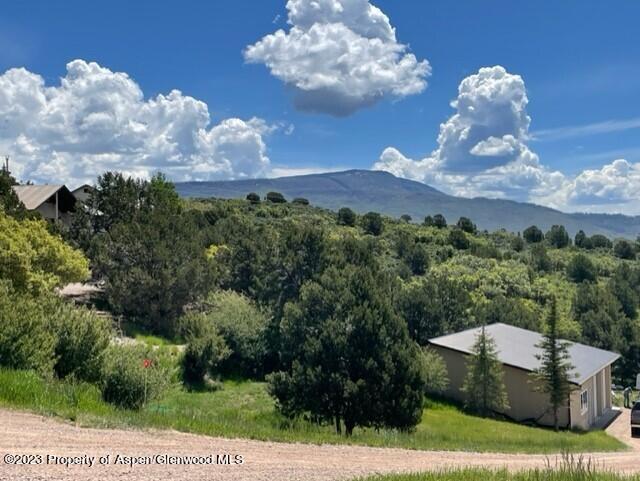 642 Panorama Drive Carbondale CO 81623