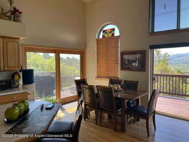 642 Panorama Drive Carbondale CO 81623