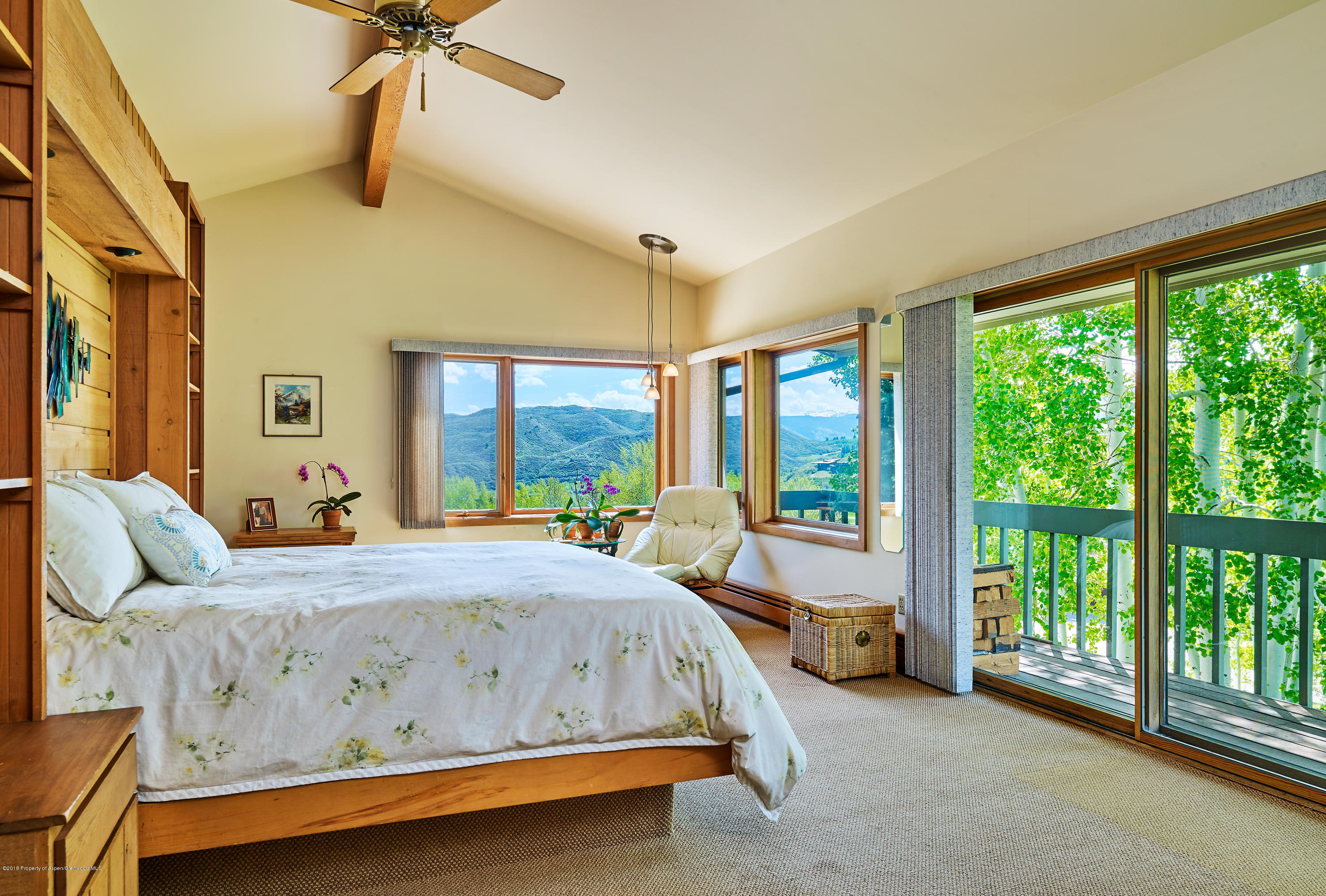 31 Martingale Lane Snowmass Village CO 81615