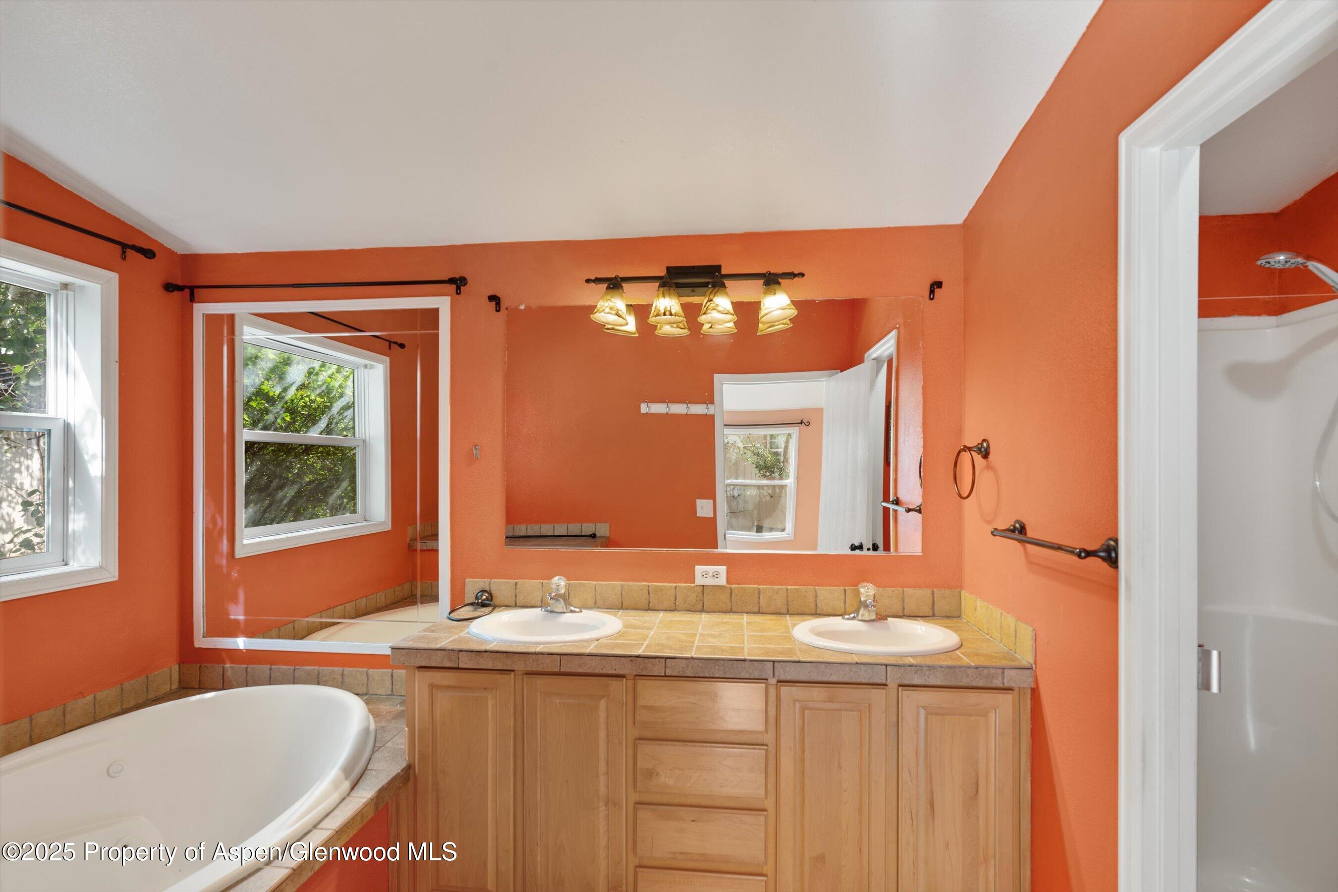 111 Ridge Trail Aspen CO 81611