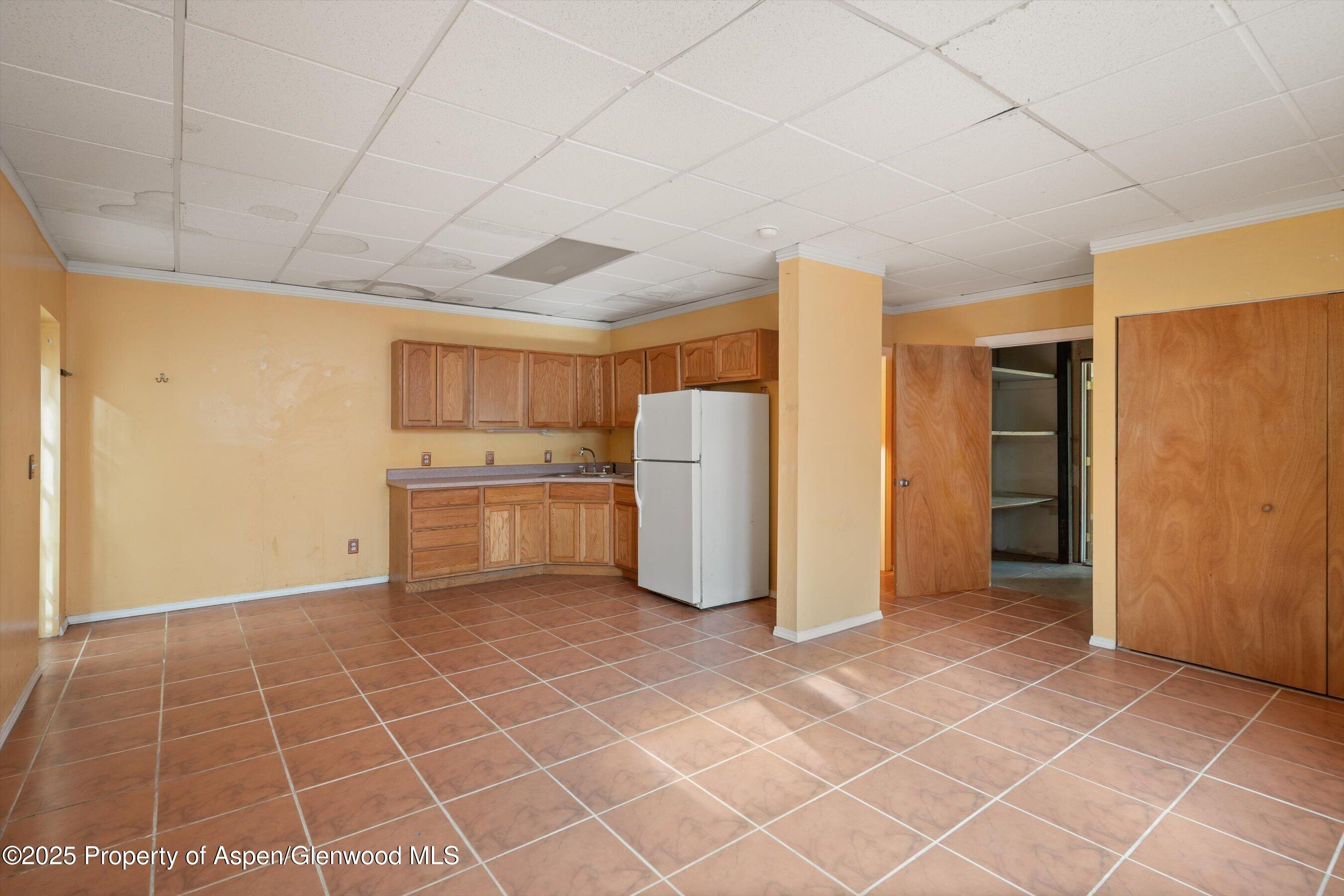 111 Ridge Trail Aspen CO 81611