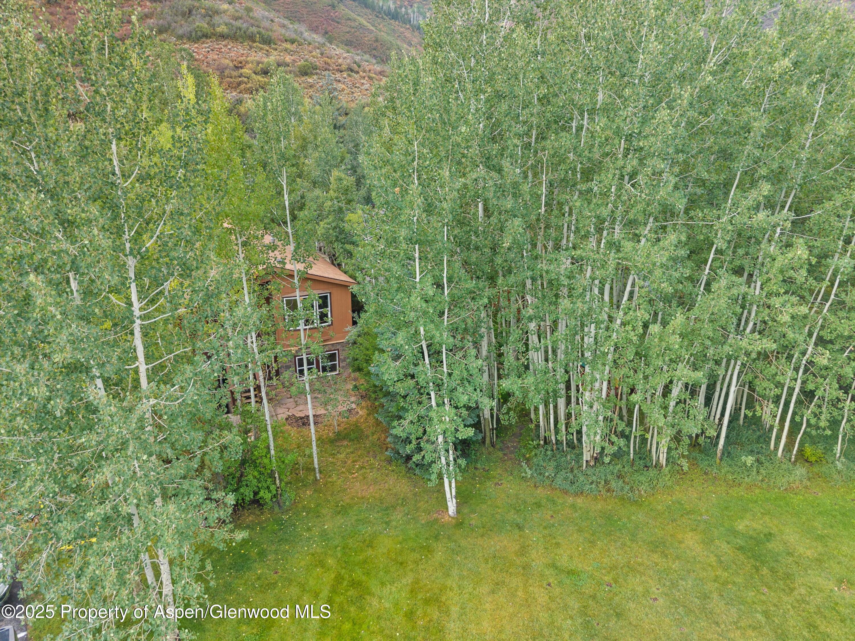 111 Ridge Trail Aspen CO 81611