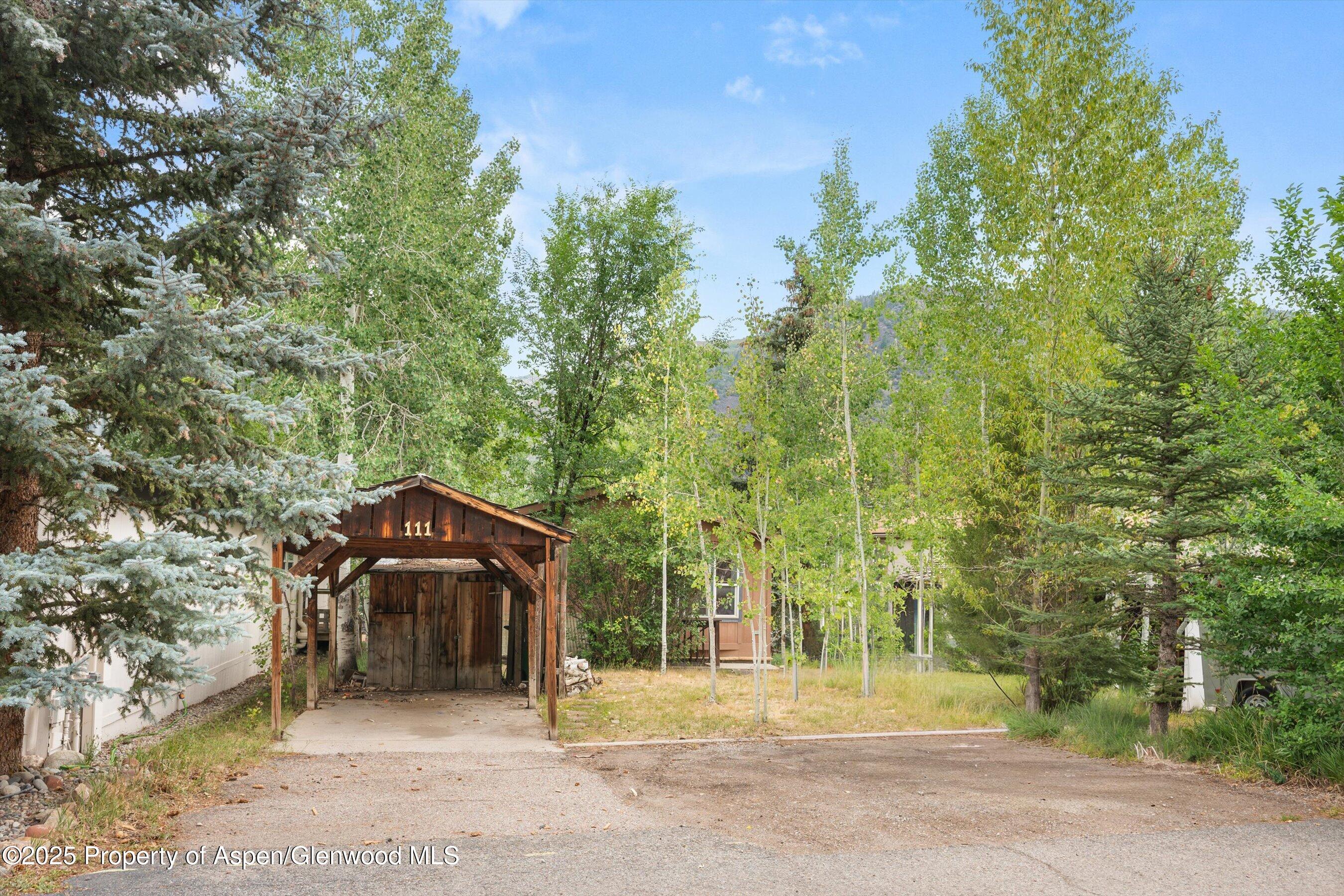 111 Ridge Trail Aspen CO 81611