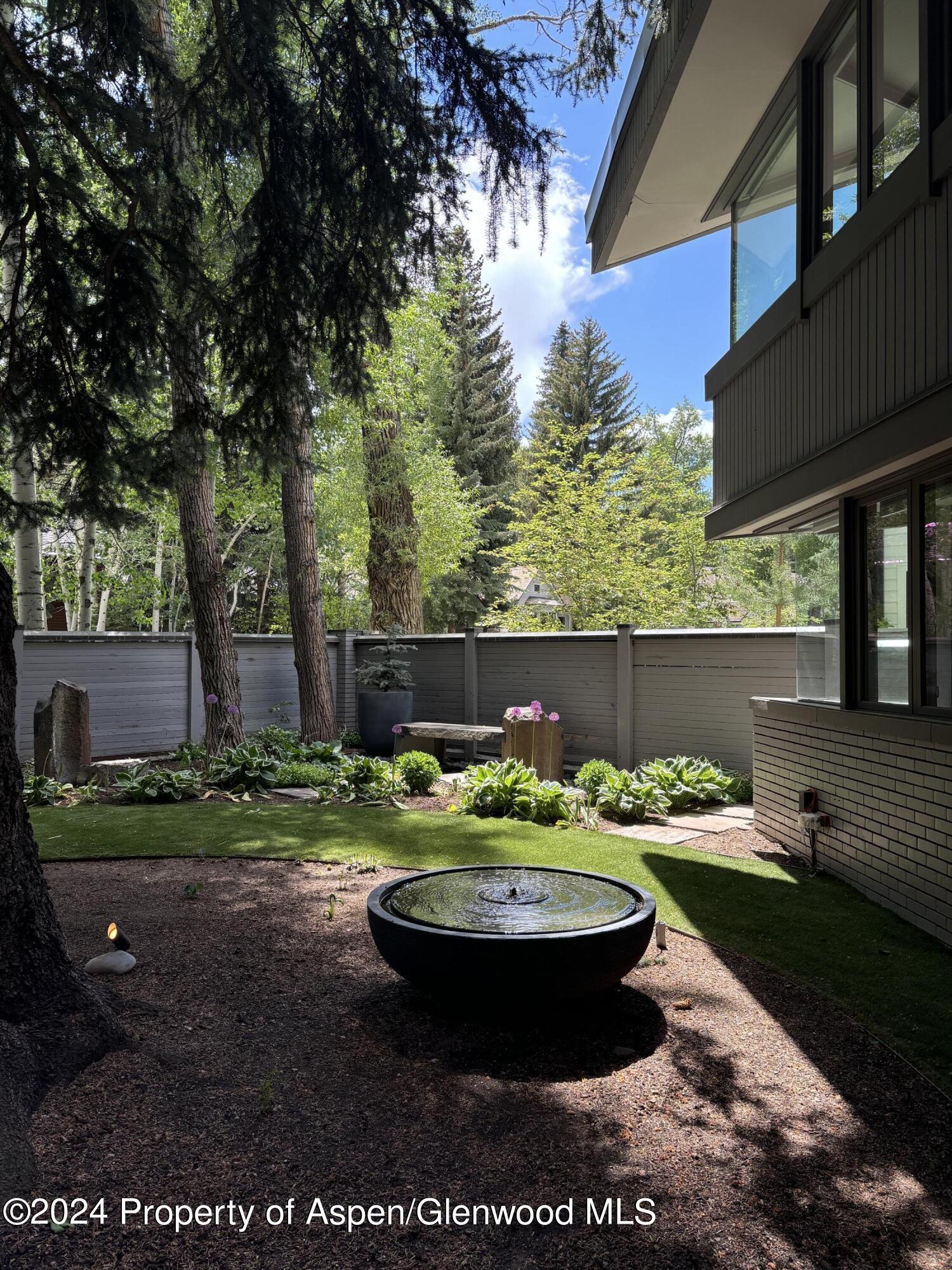 506 W Hallam Street Aspen CO 81611