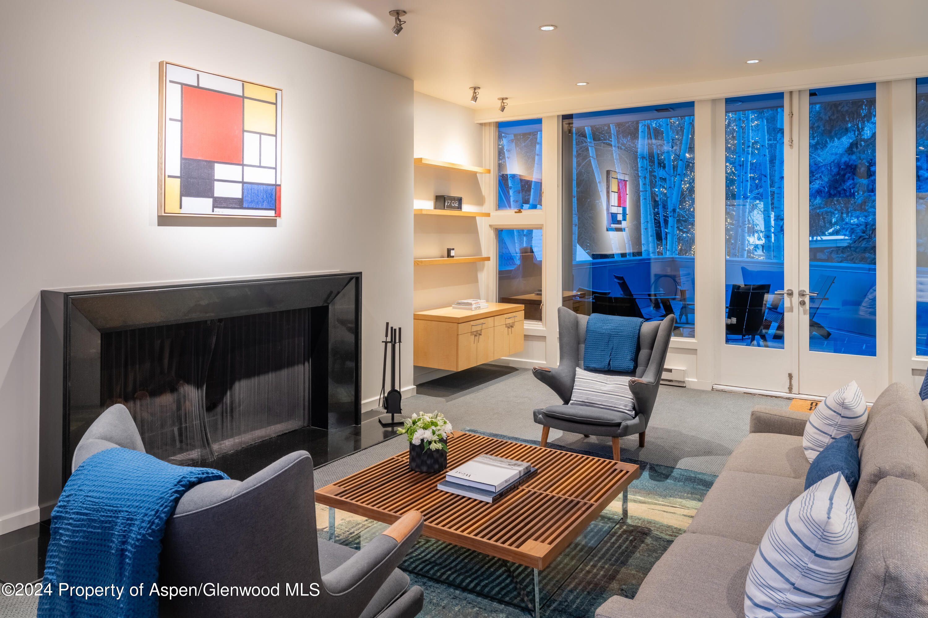 506 W Hallam Street Aspen CO 81611