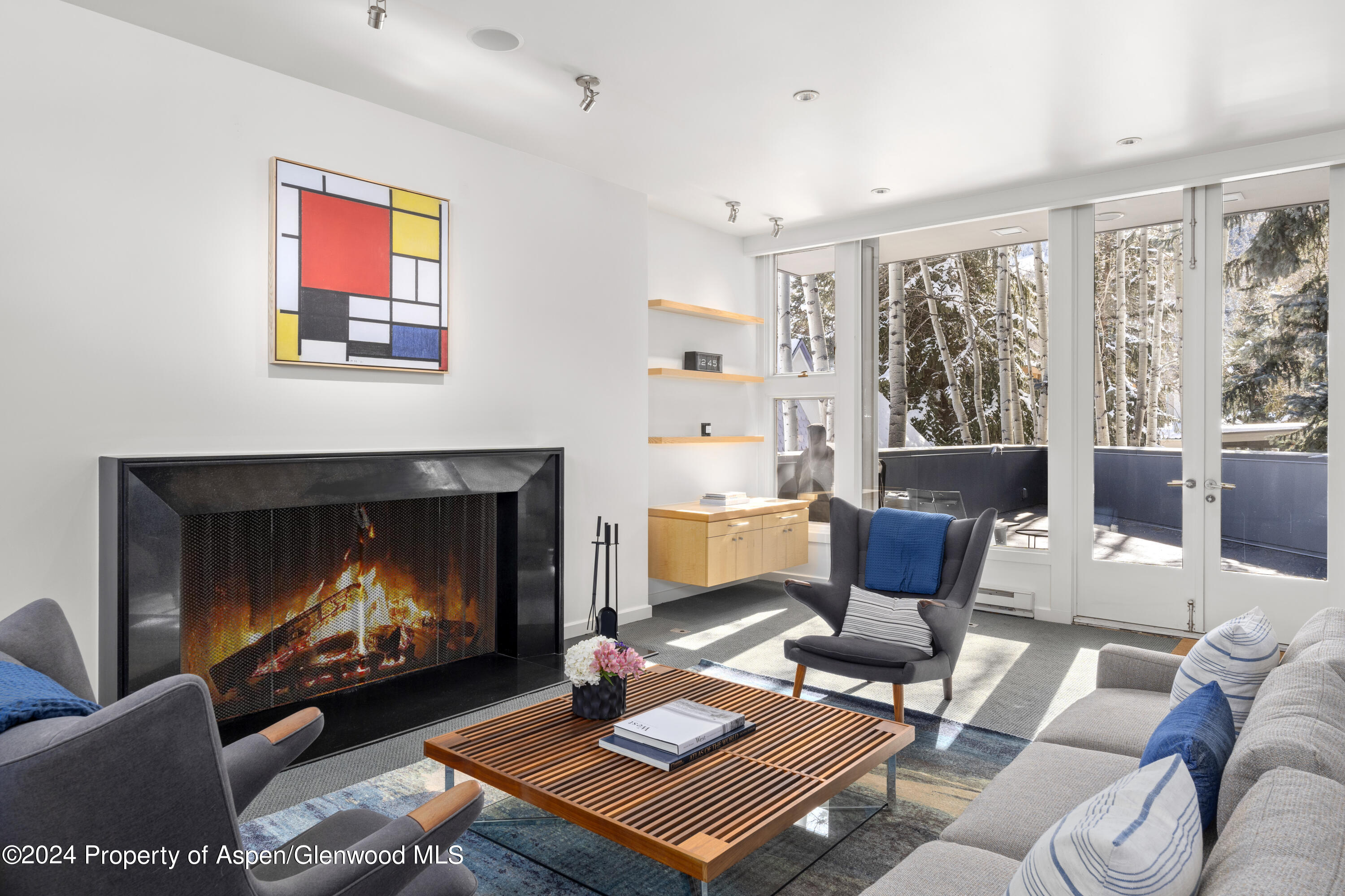 506 W Hallam Street Aspen CO 81611