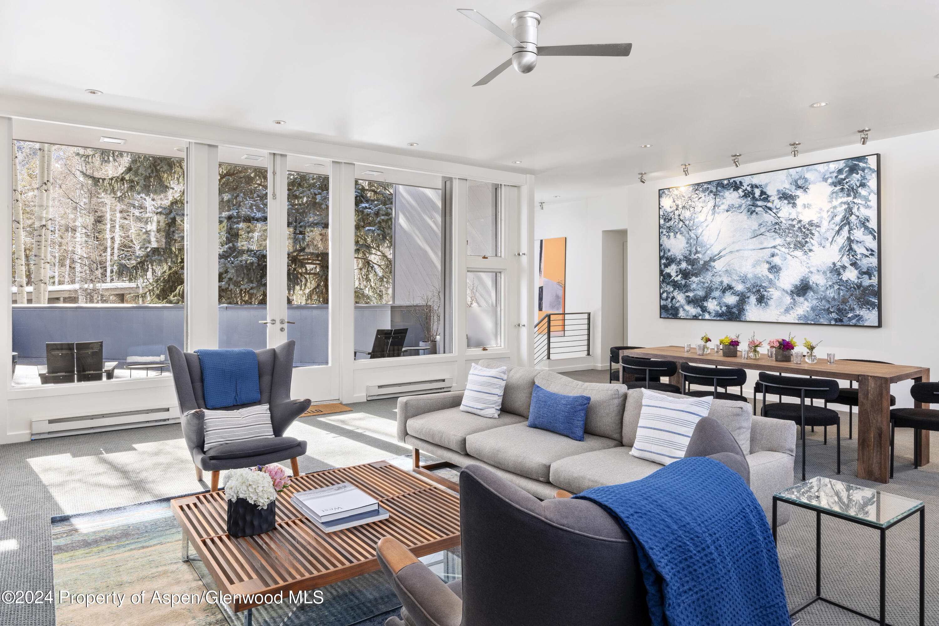 506 W Hallam Street Aspen CO 81611