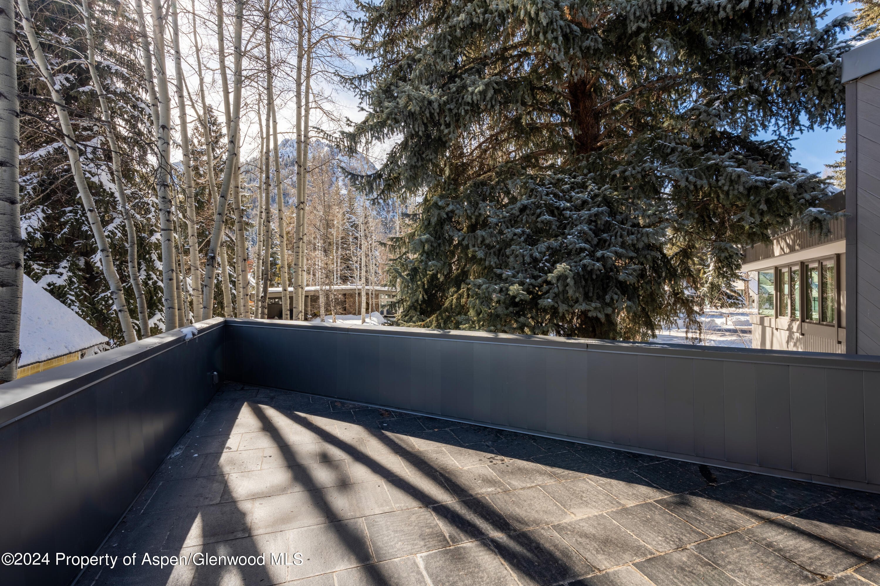 506 W Hallam Street Aspen CO 81611