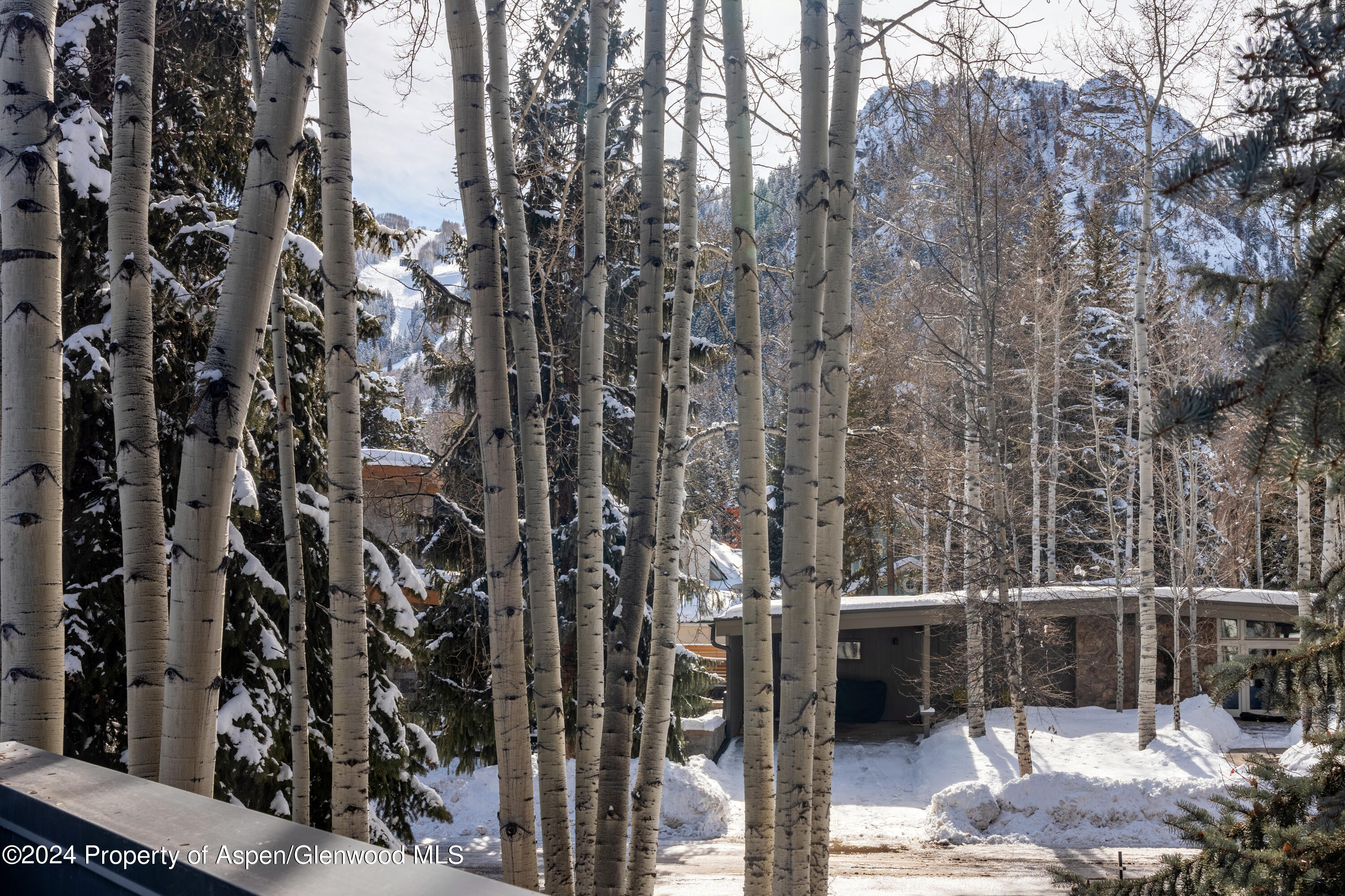 506 W Hallam Street Aspen CO 81611