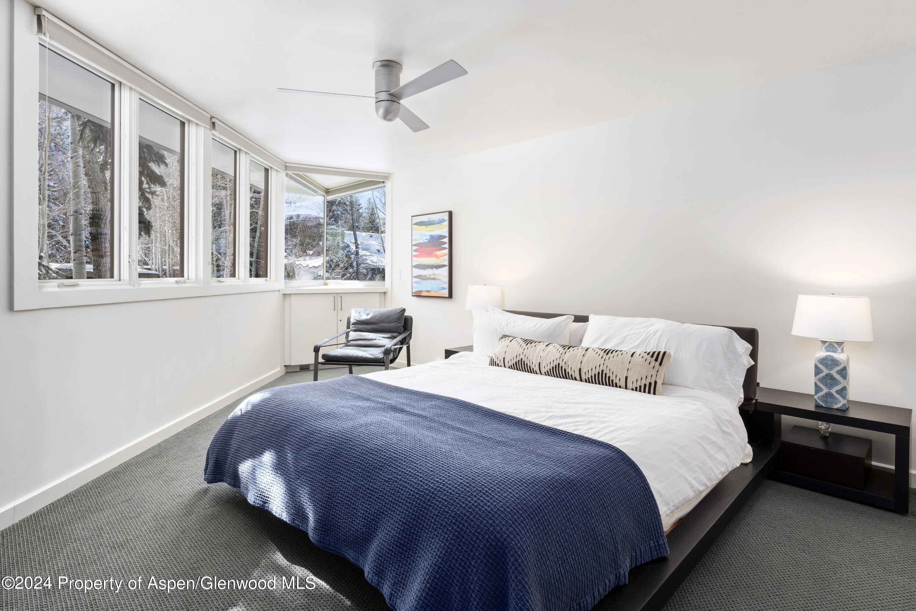 506 W Hallam Street Aspen CO 81611