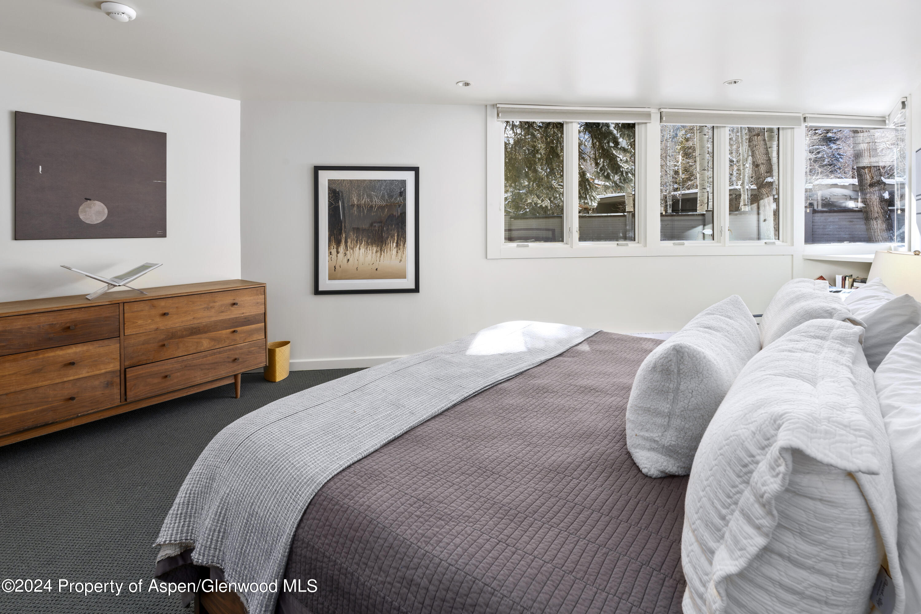 506 W Hallam Street Aspen CO 81611