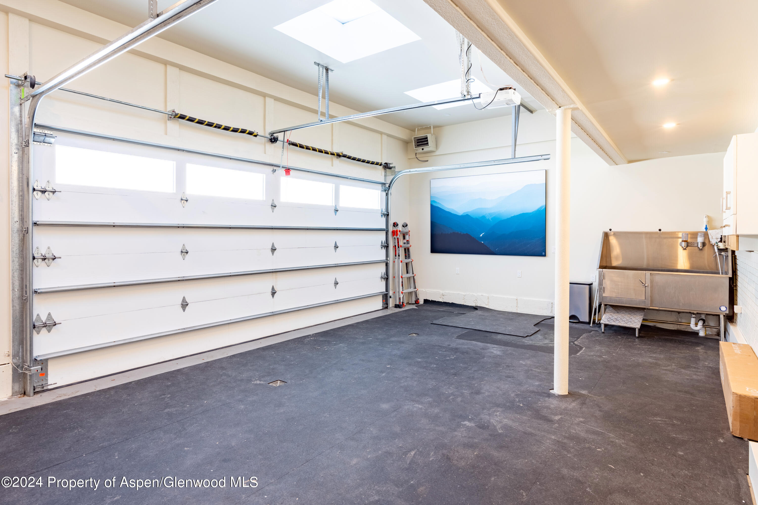 506 W Hallam Street Aspen CO 81611