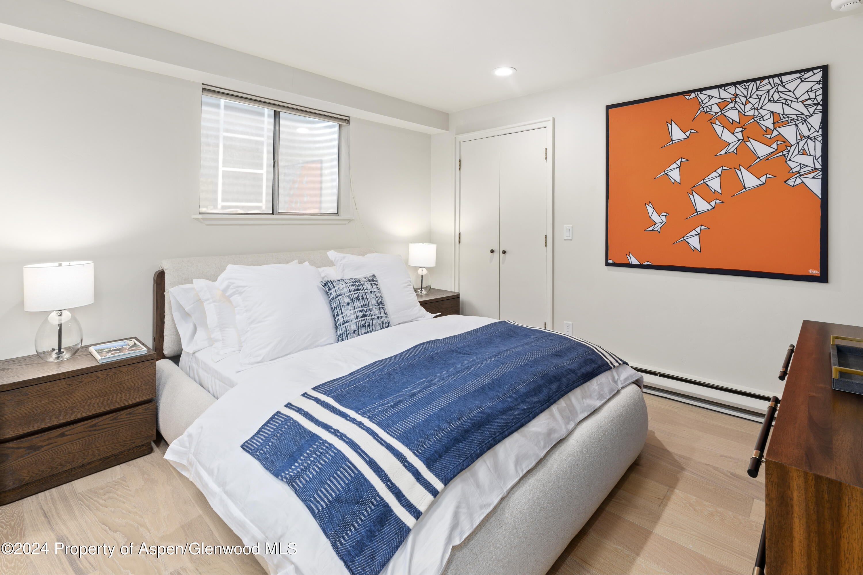 506 W Hallam Street Aspen CO 81611