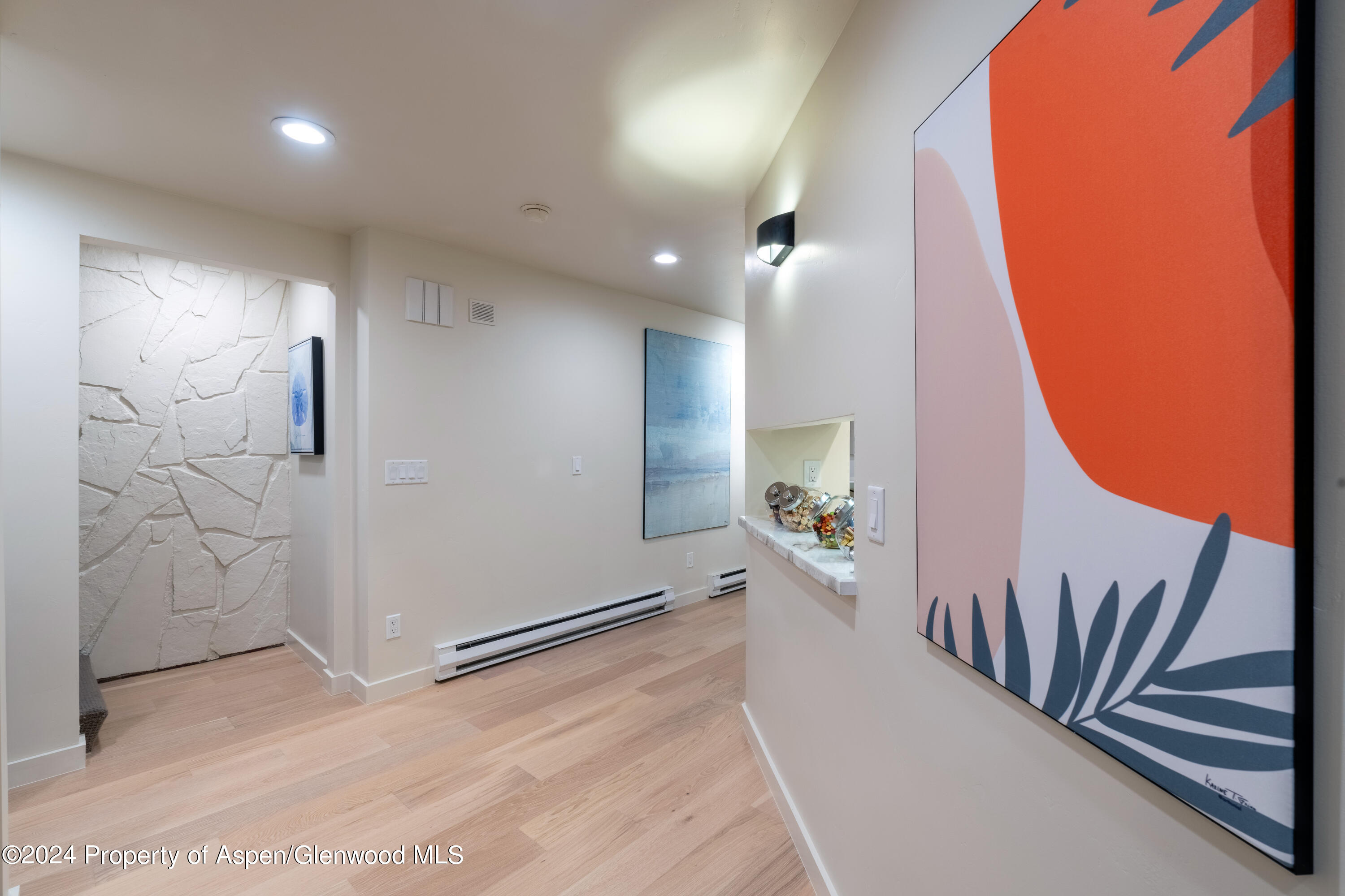 506 W Hallam Street Aspen CO 81611