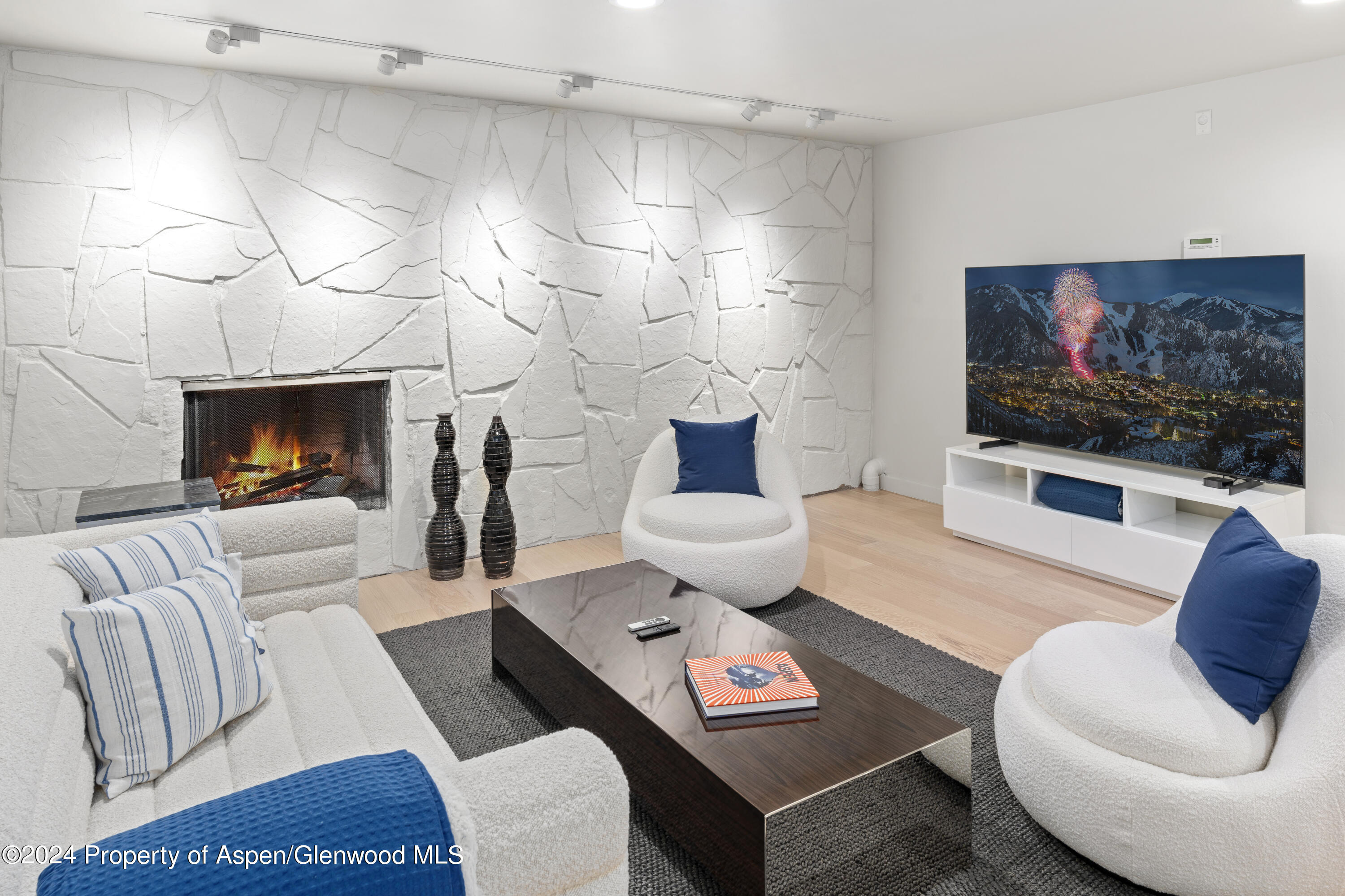506 W Hallam Street Aspen CO 81611