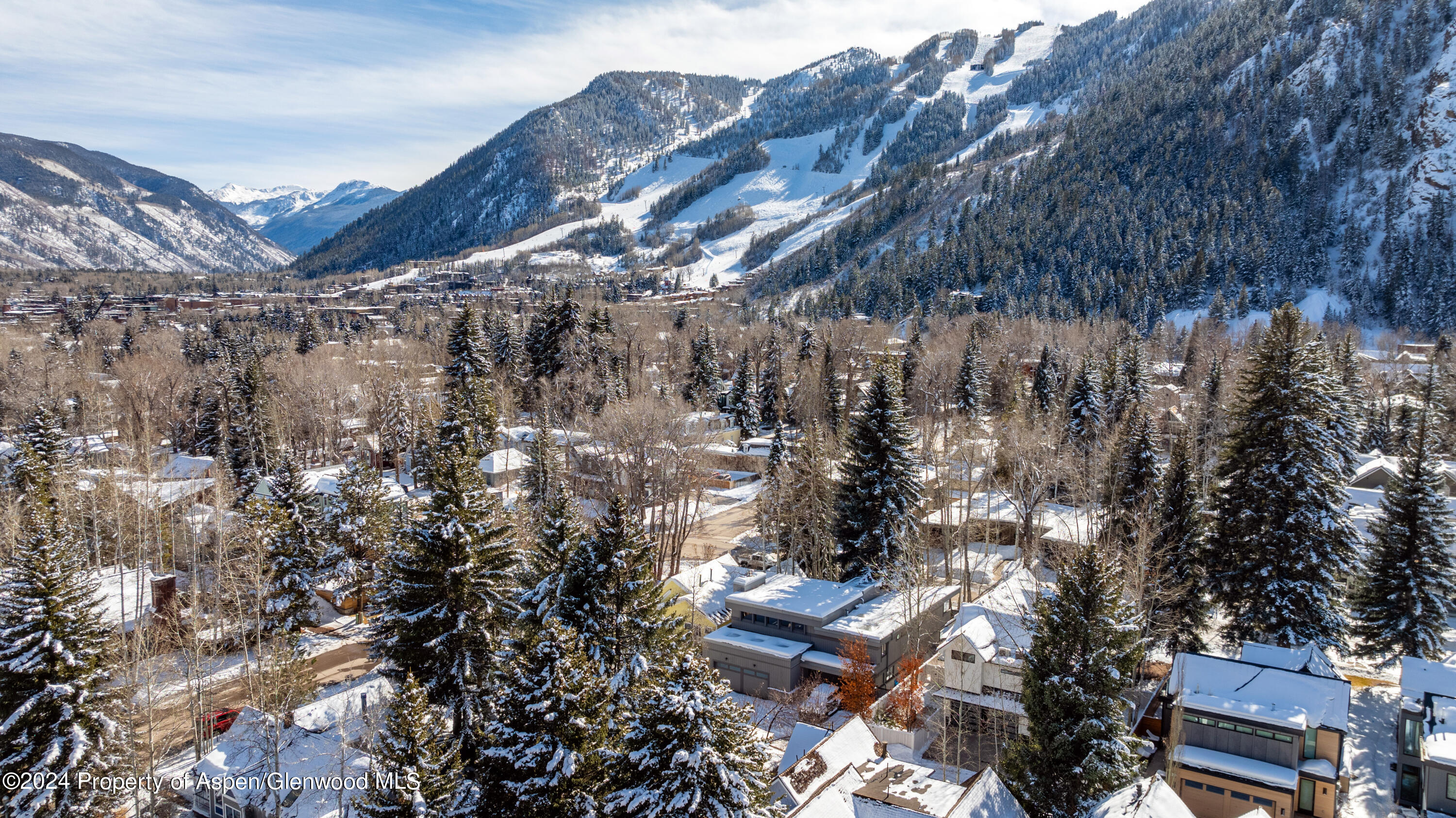 506 W Hallam Street Aspen CO 81611