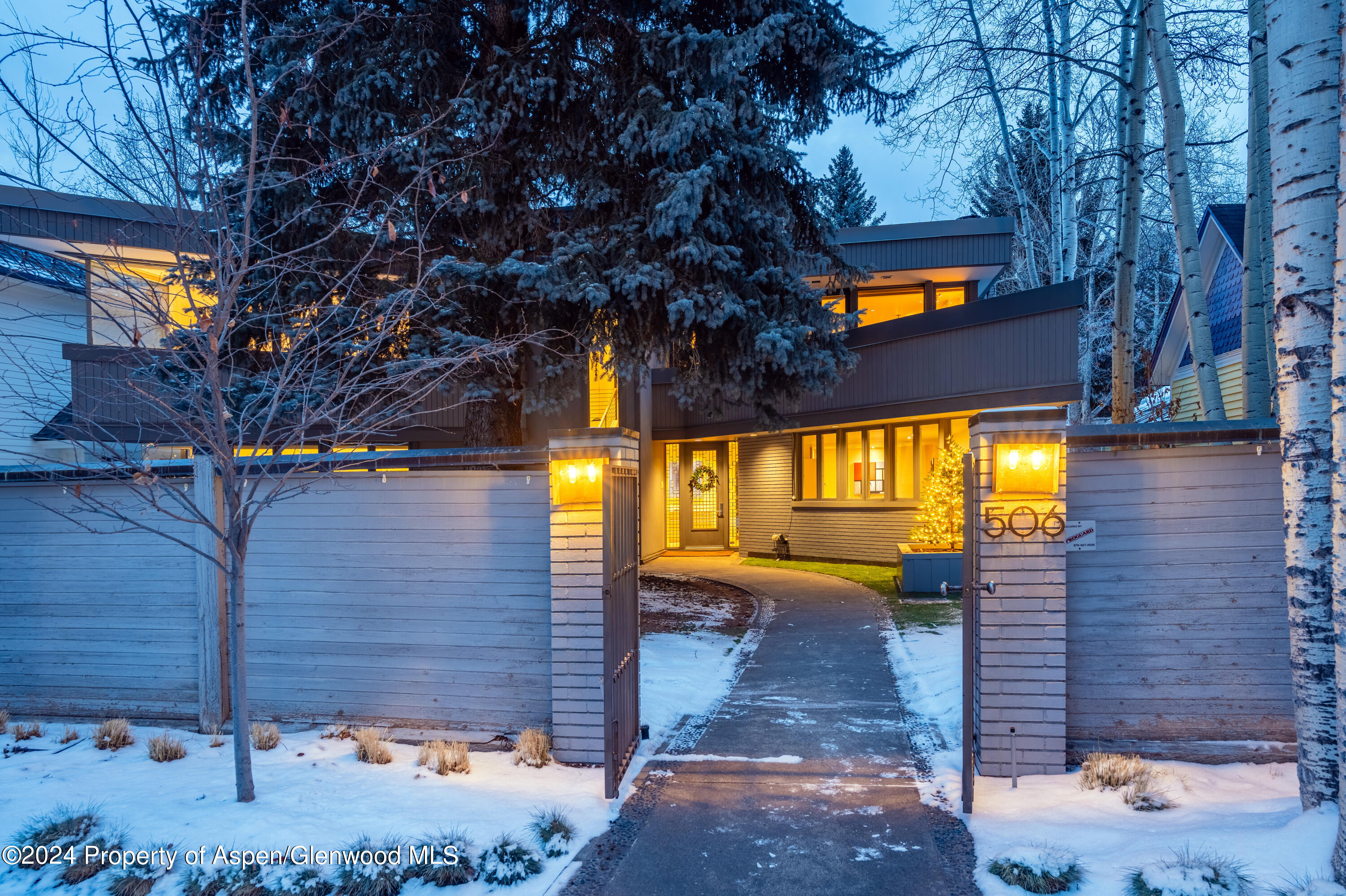 506 W Hallam Street Aspen CO 81611