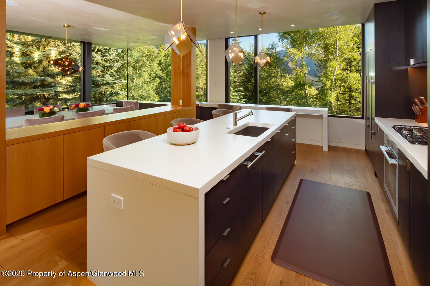 979 Red Mountain Road Aspen CO 81611