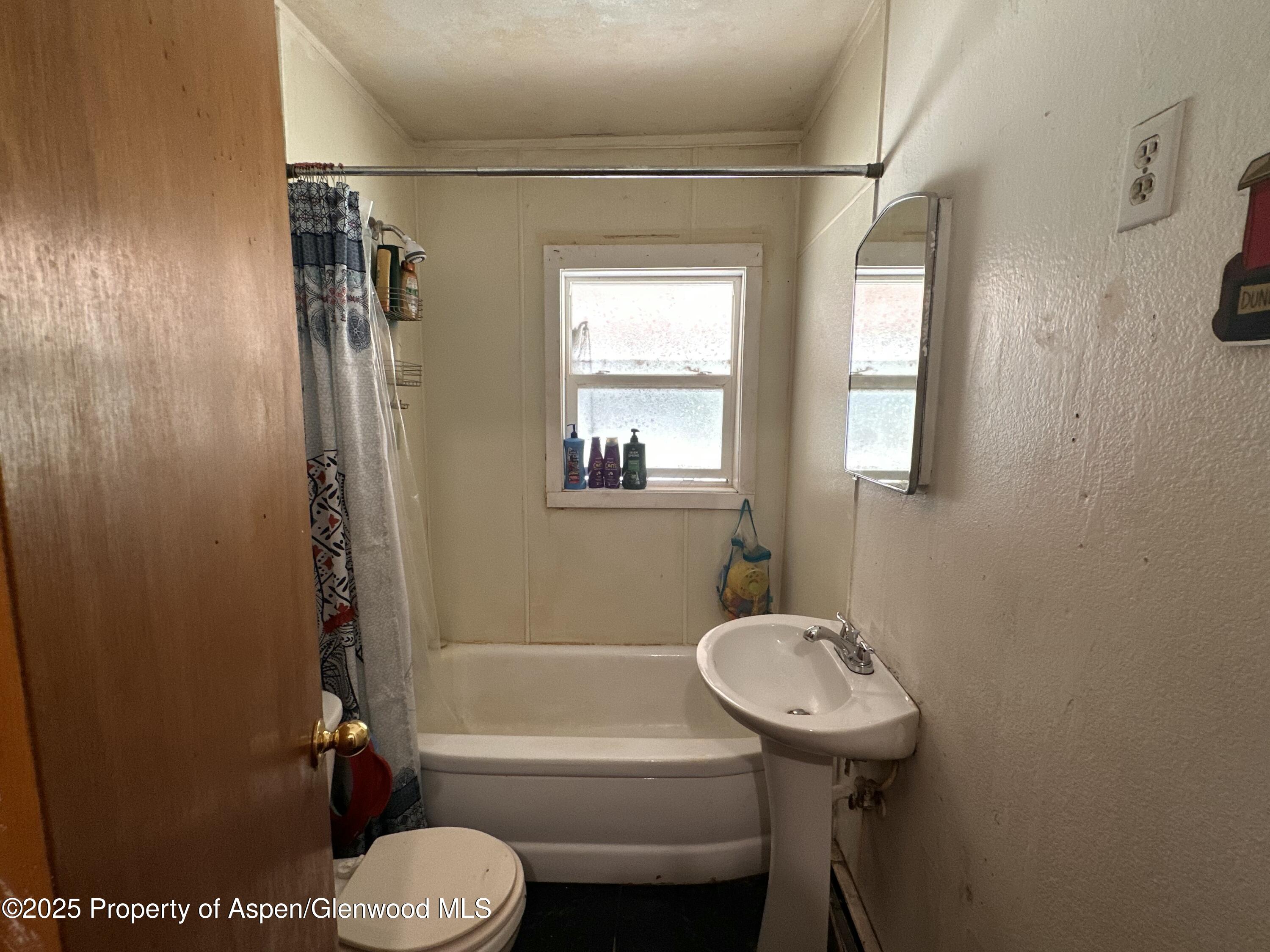 317 Payson Street Norwood CO 81423