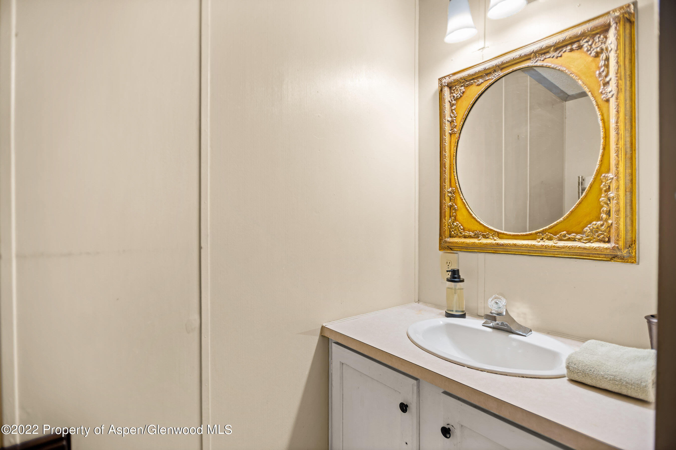 312 Oak Lane Aspen CO 81611
