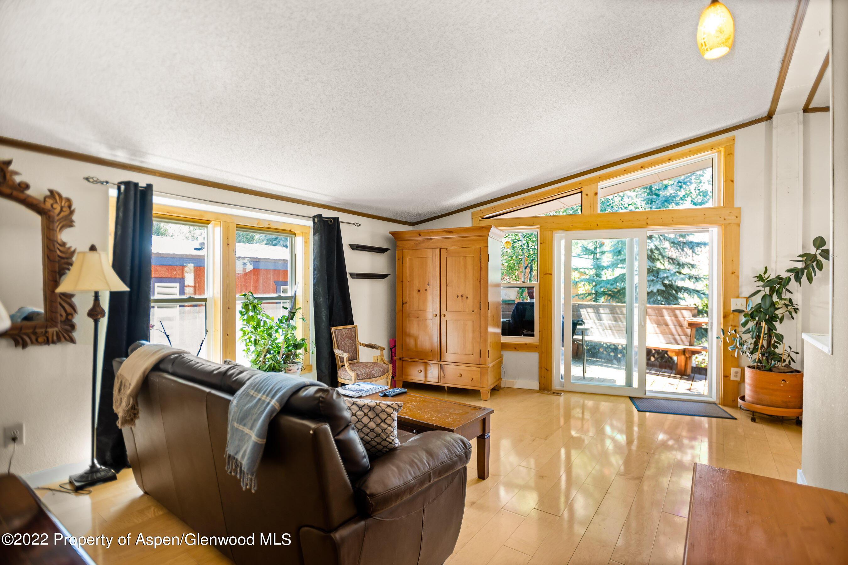 312 Oak Lane Aspen CO 81611