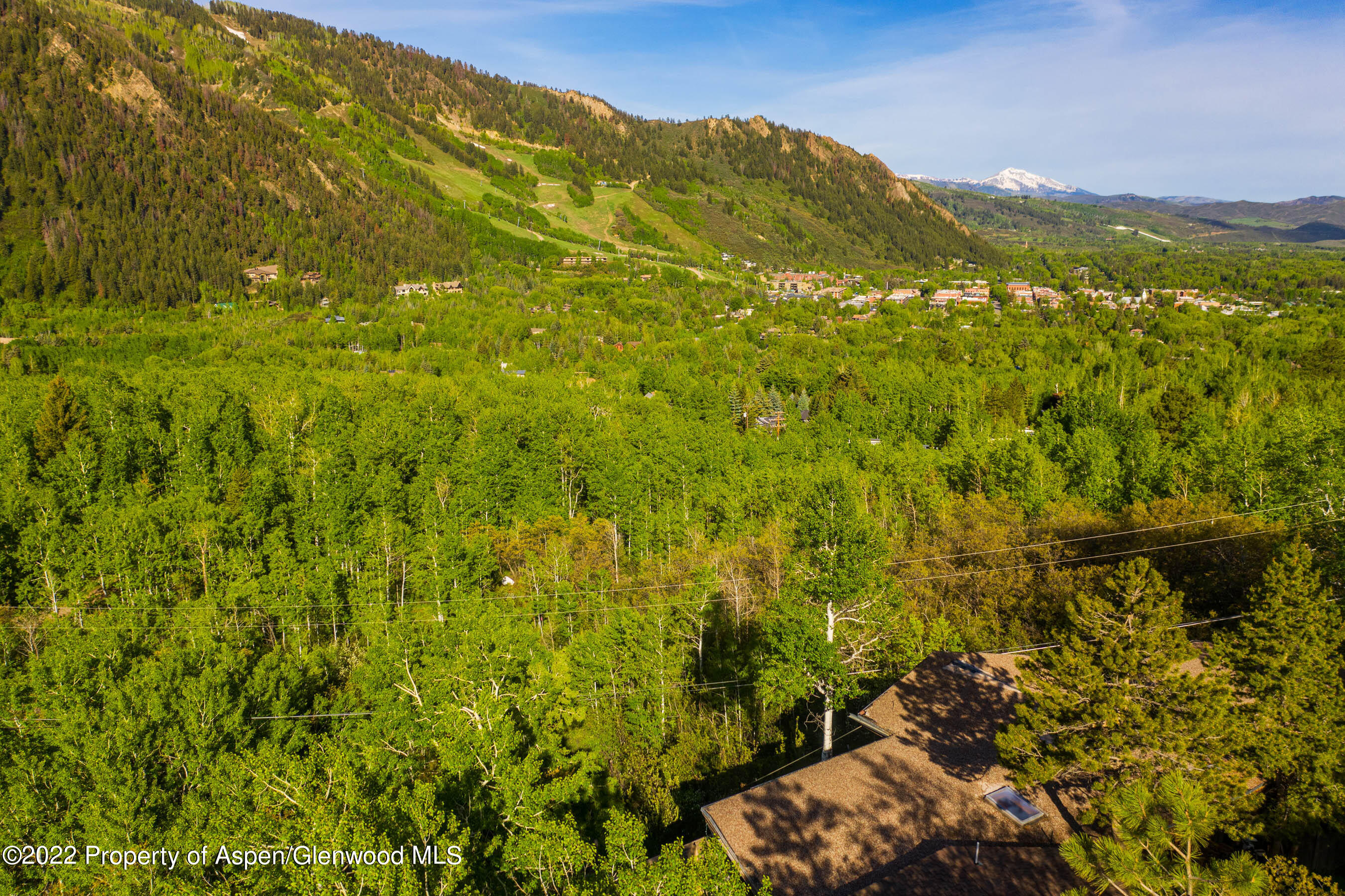 628 Mcskimming Road Aspen CO 81612