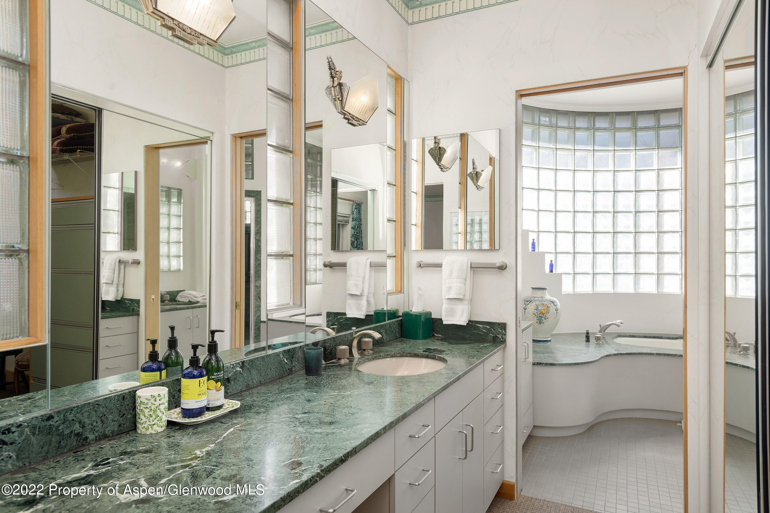 401 W Francis Street Aspen CO 81611