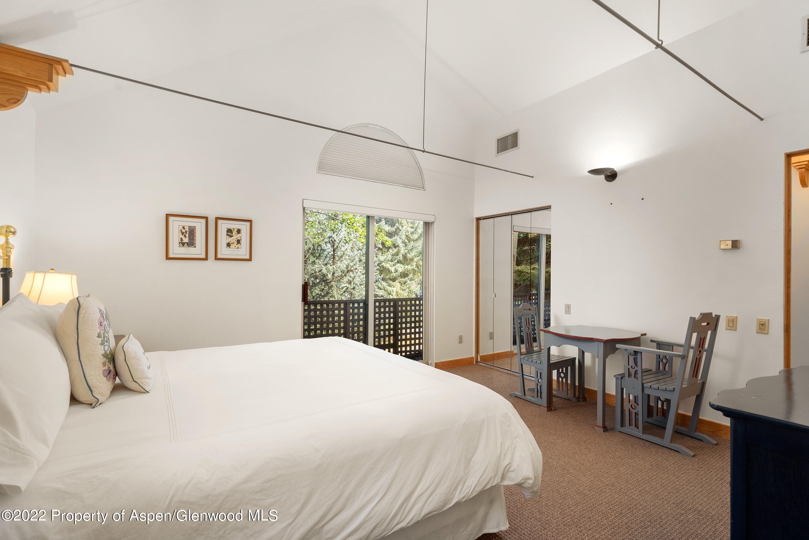 401 W Francis Street Aspen CO 81611