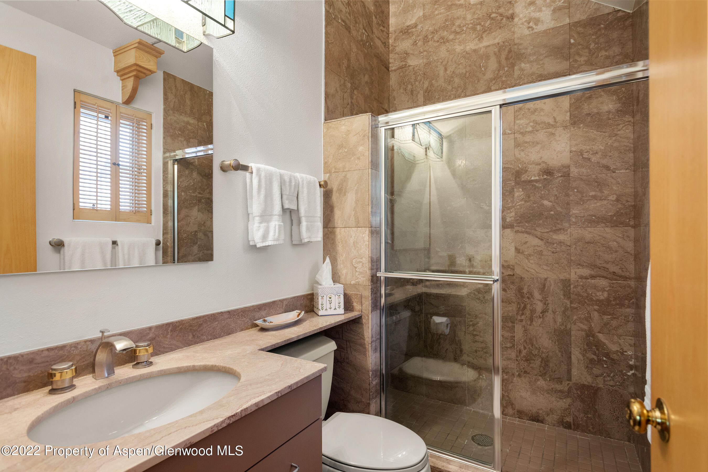 401 W Francis Street Aspen CO 81611