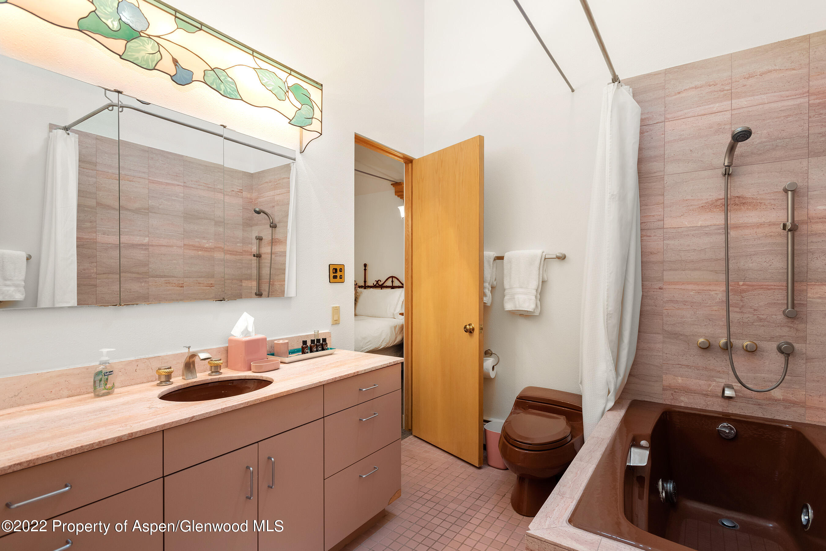 401 W Francis Street Aspen CO 81611