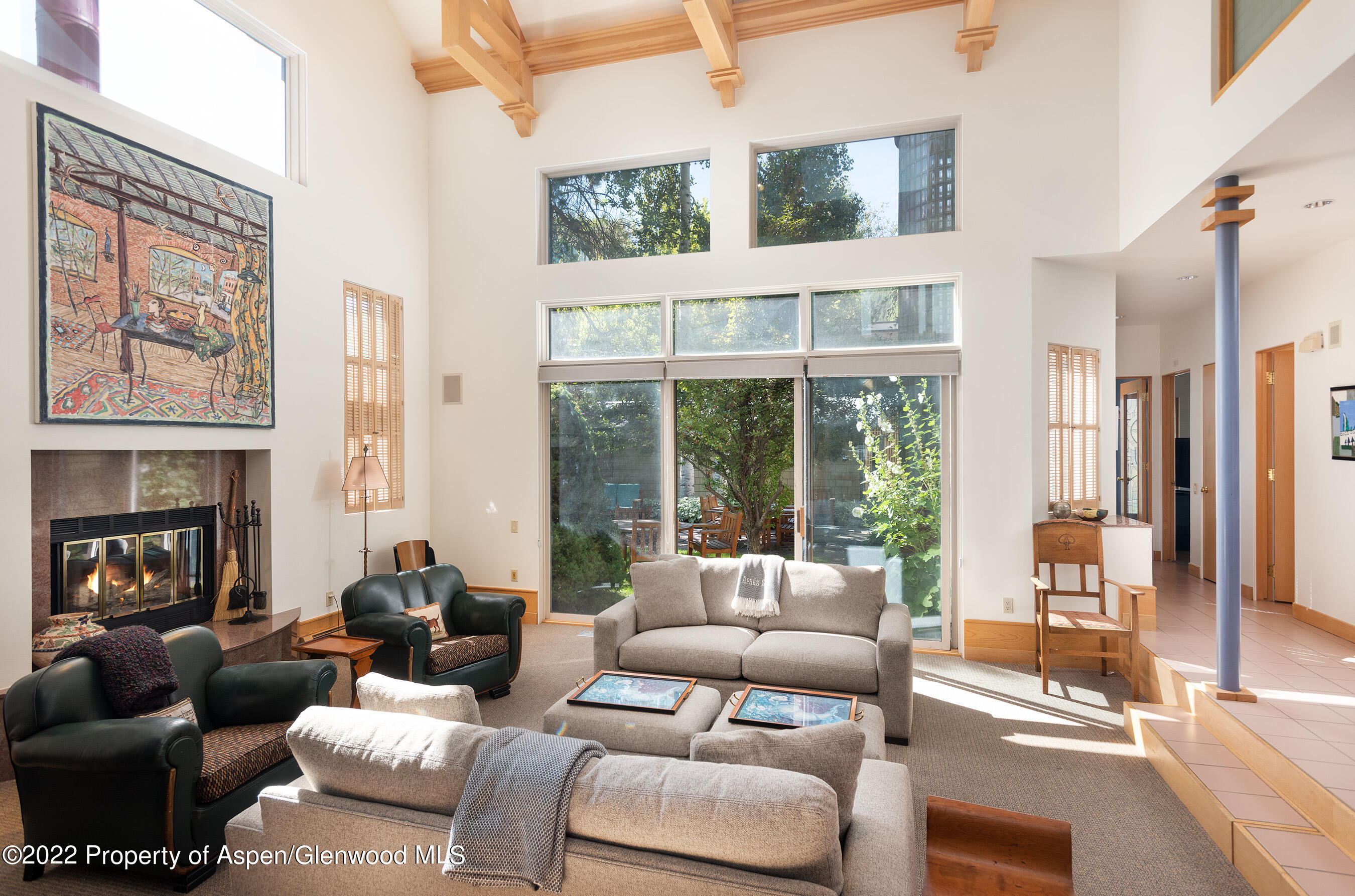 401 W Francis Street Aspen CO 81611