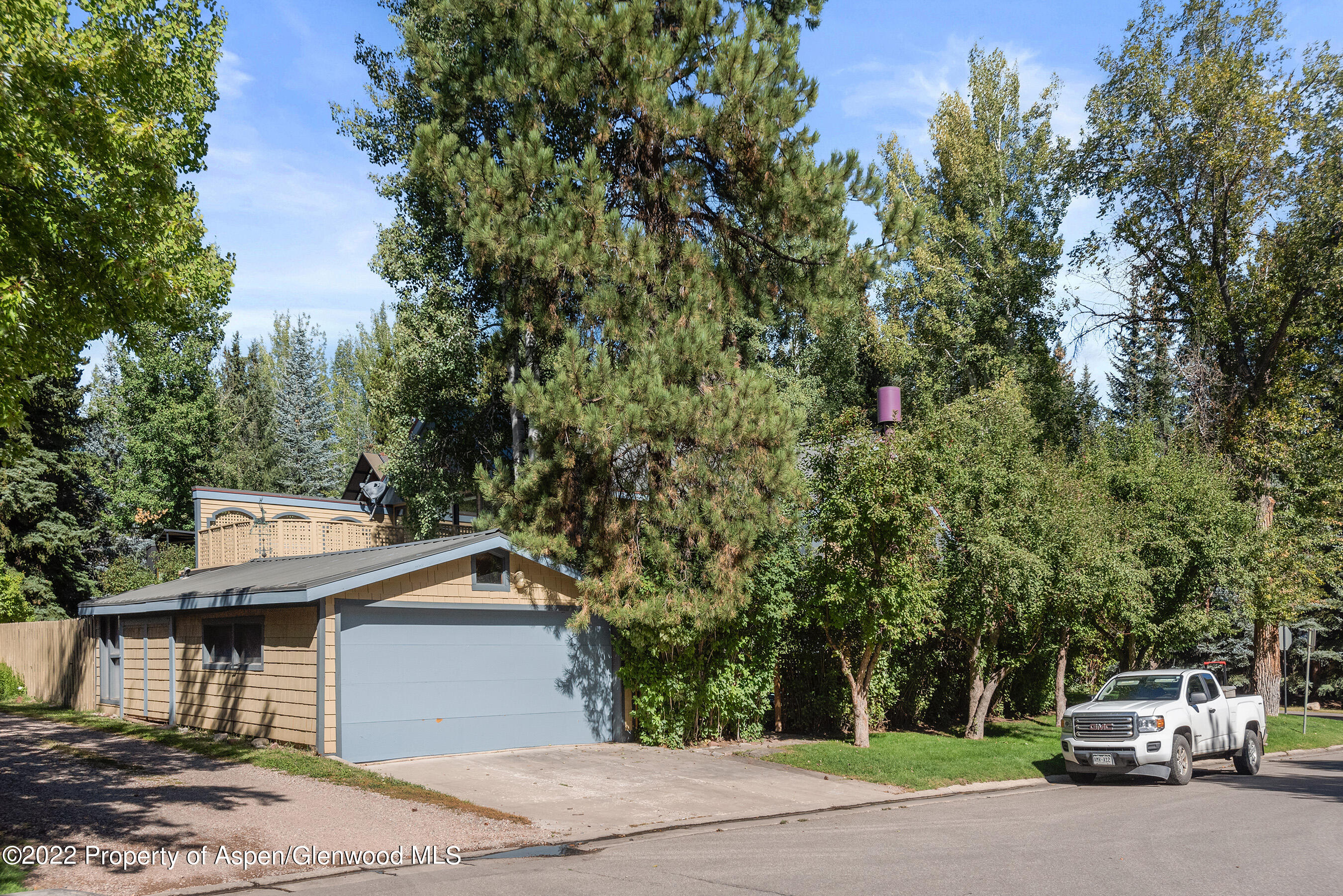 401 W Francis Street Aspen CO 81611