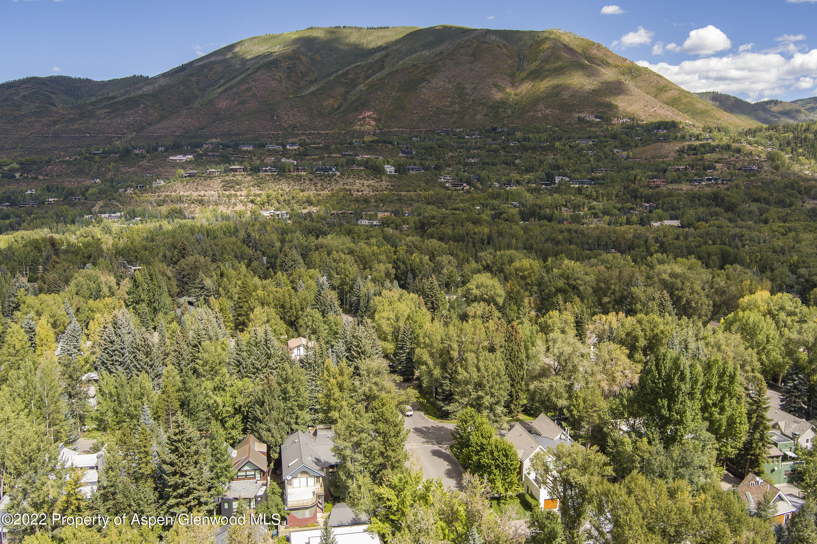 401 W Francis Street Aspen CO 81611