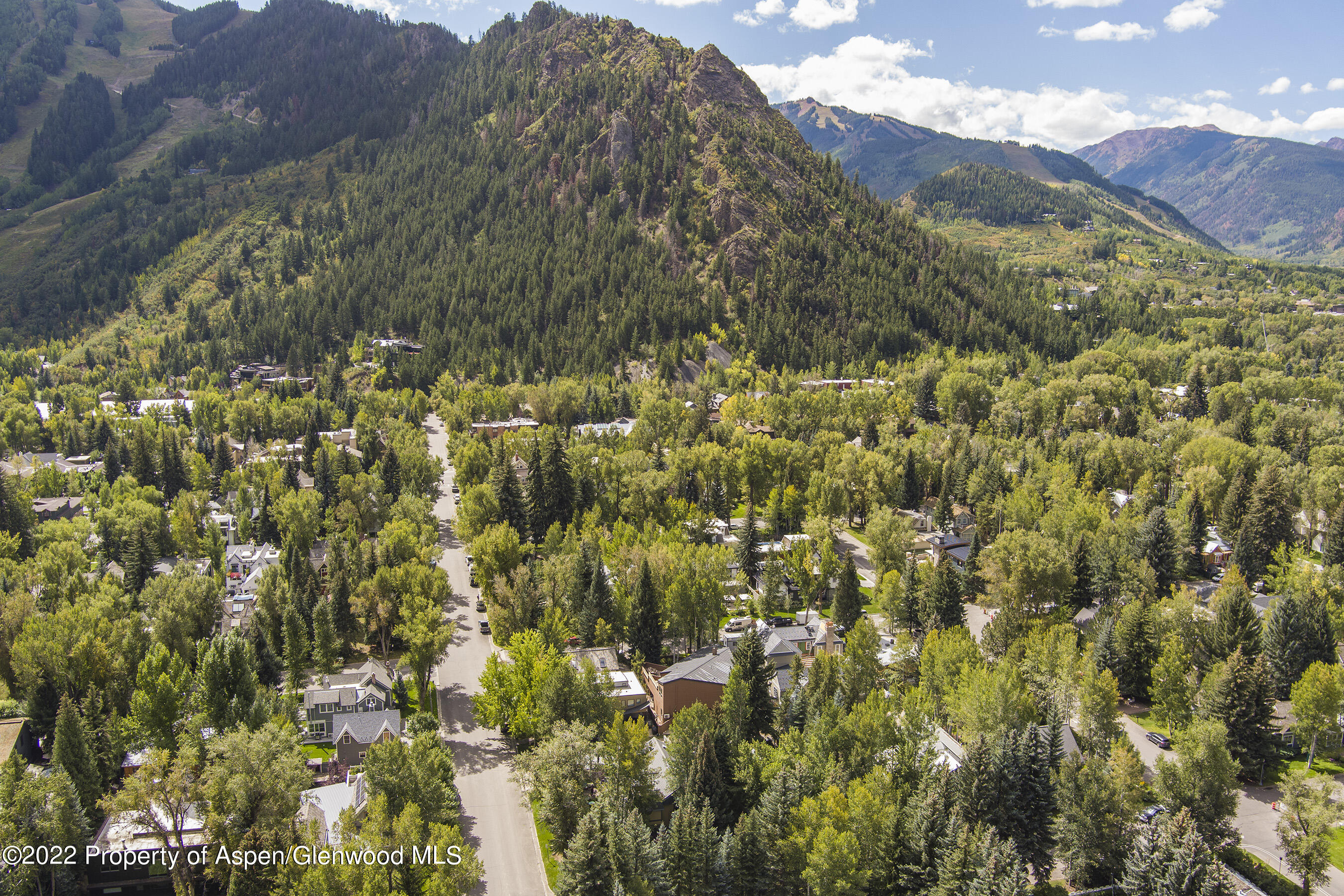 401 W Francis Street Aspen CO 81611