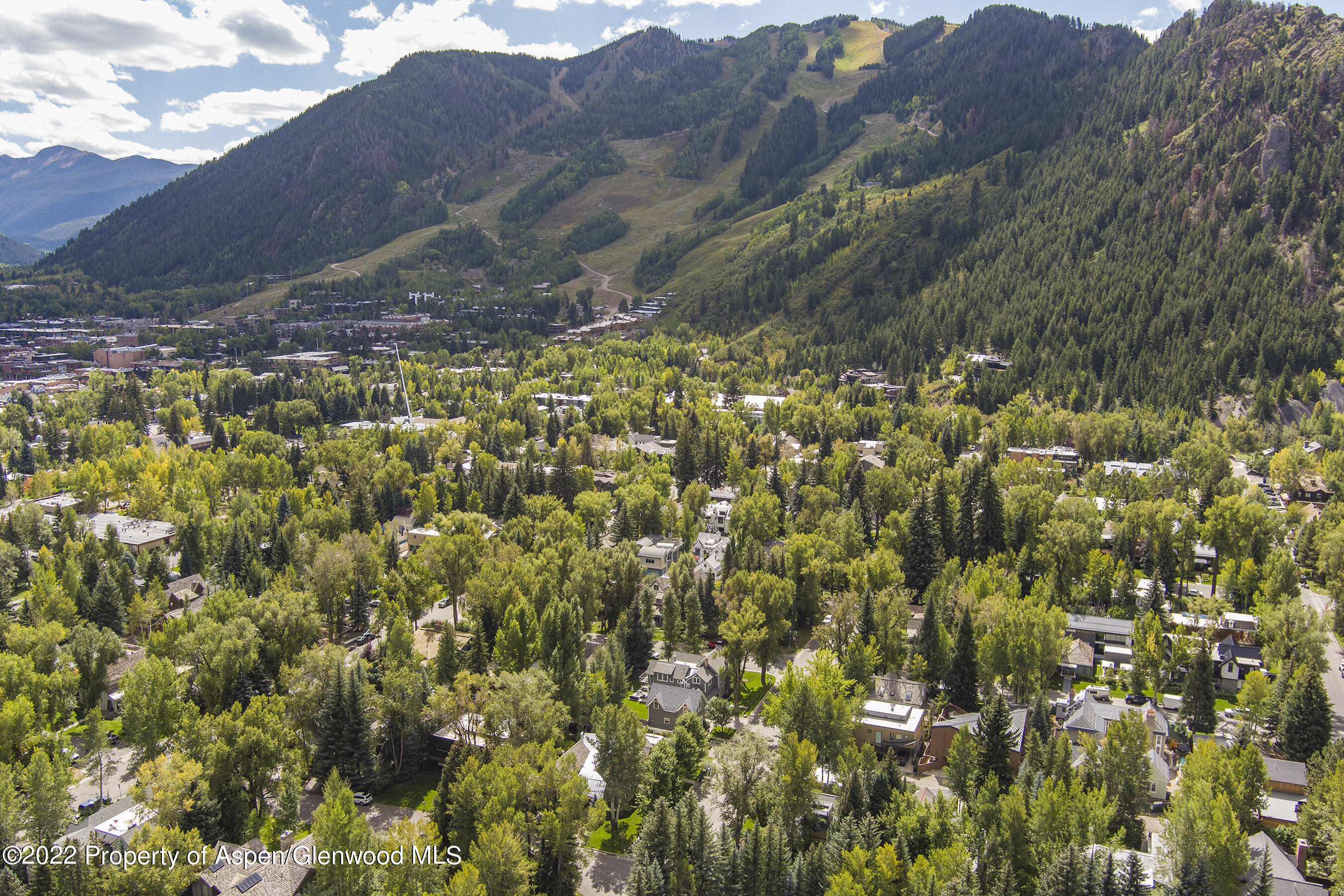 401 W Francis Street Aspen CO 81611