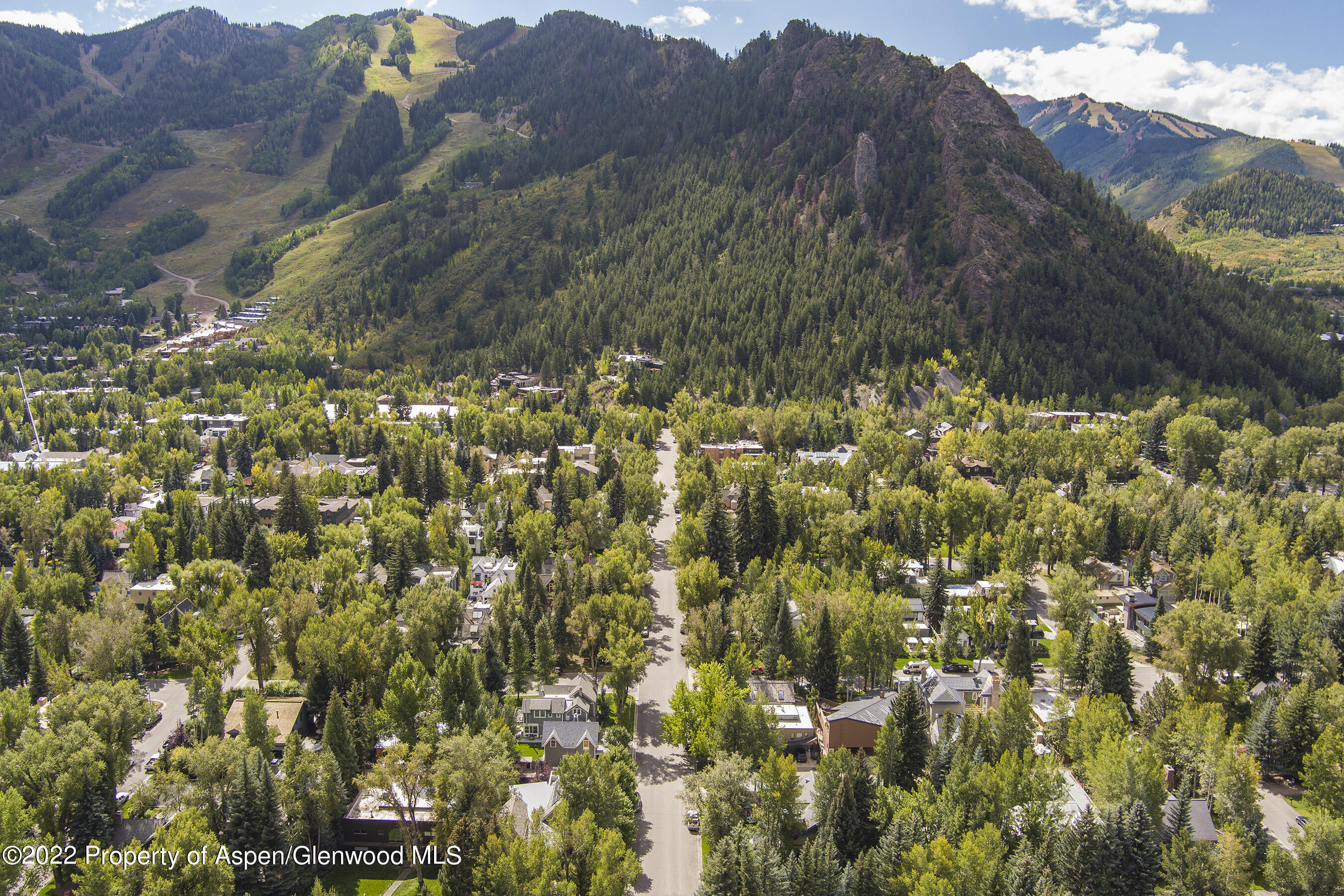 401 W Francis Street Aspen CO 81611