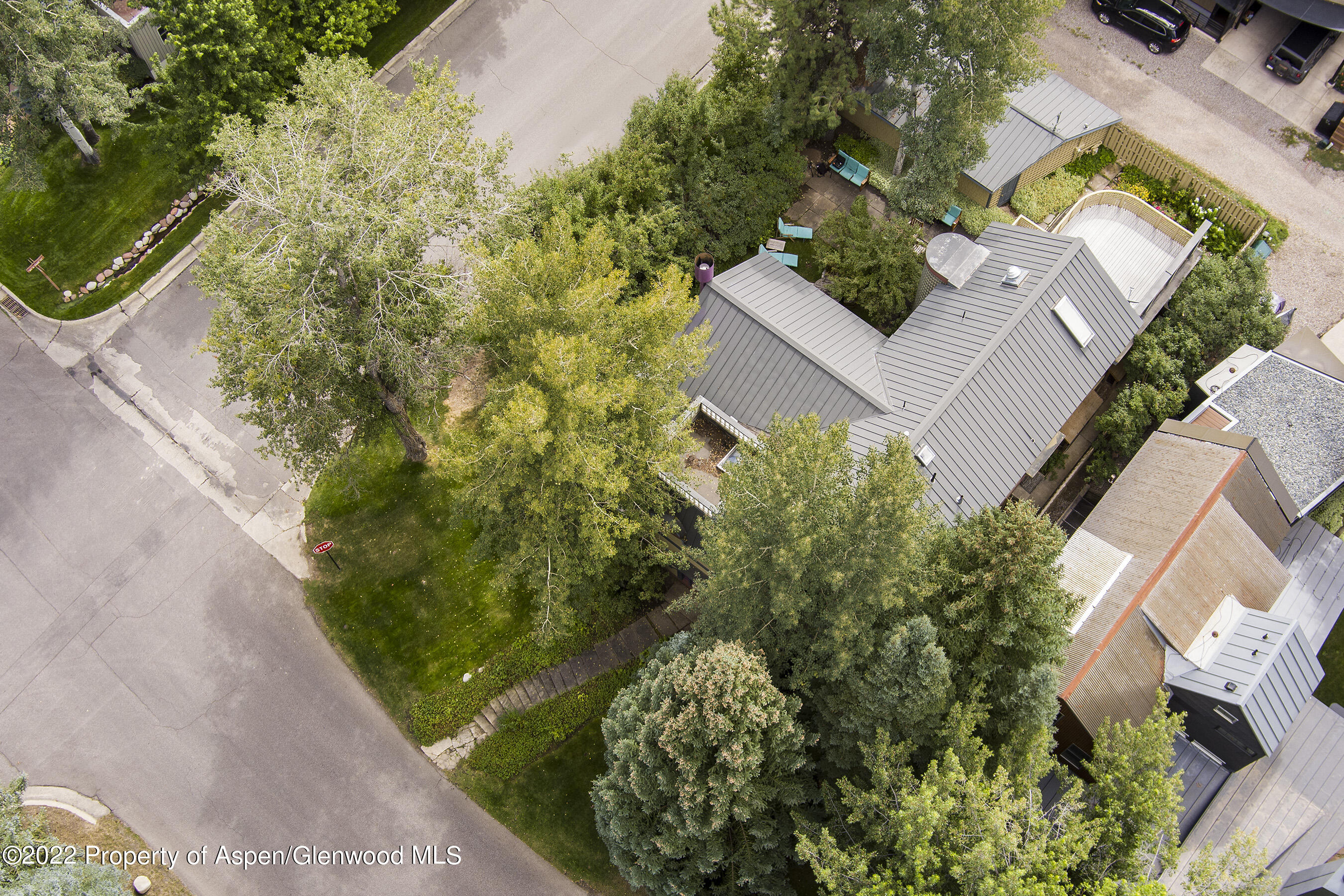 401 W Francis Street Aspen CO 81611