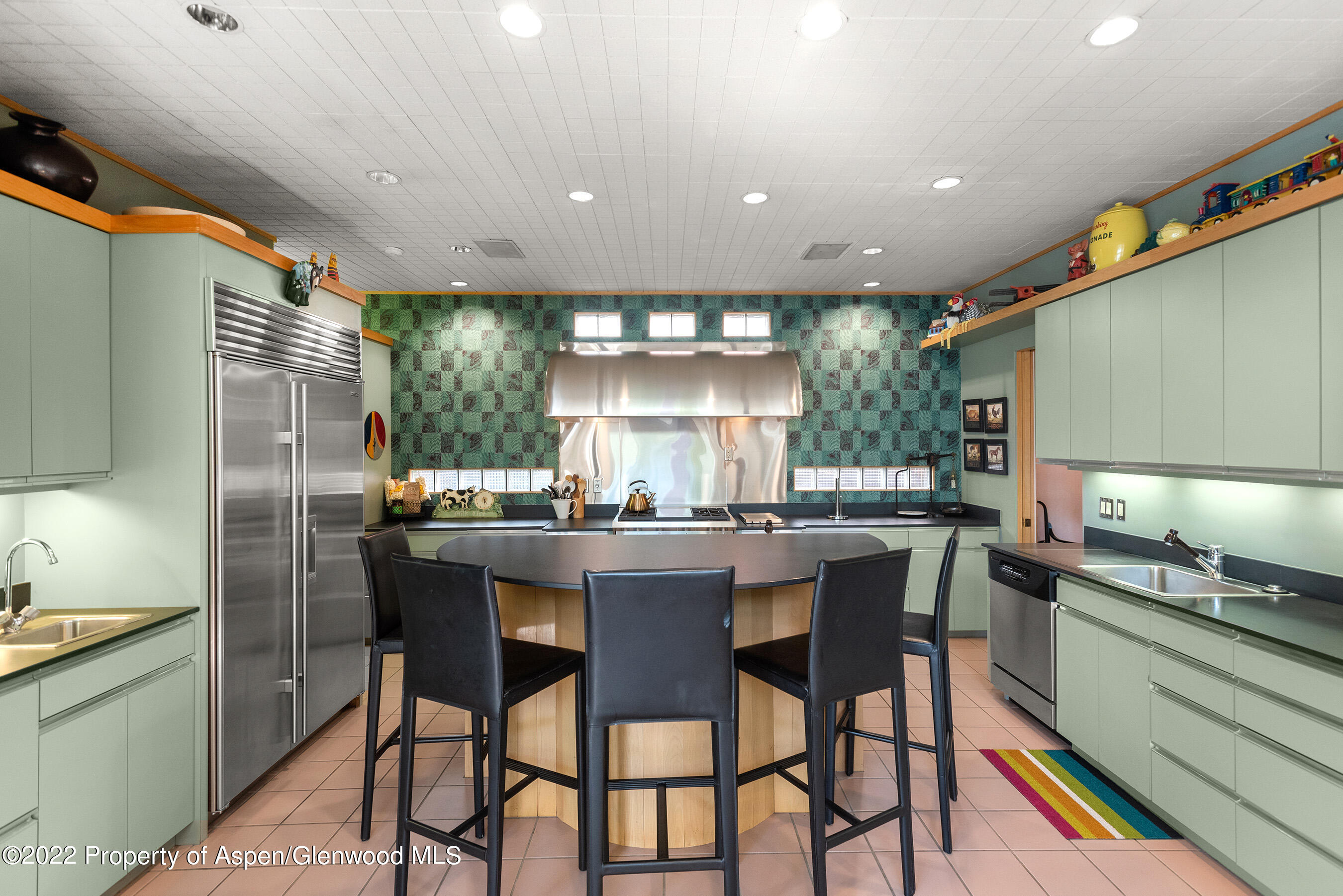 401 W Francis Street Aspen CO 81611