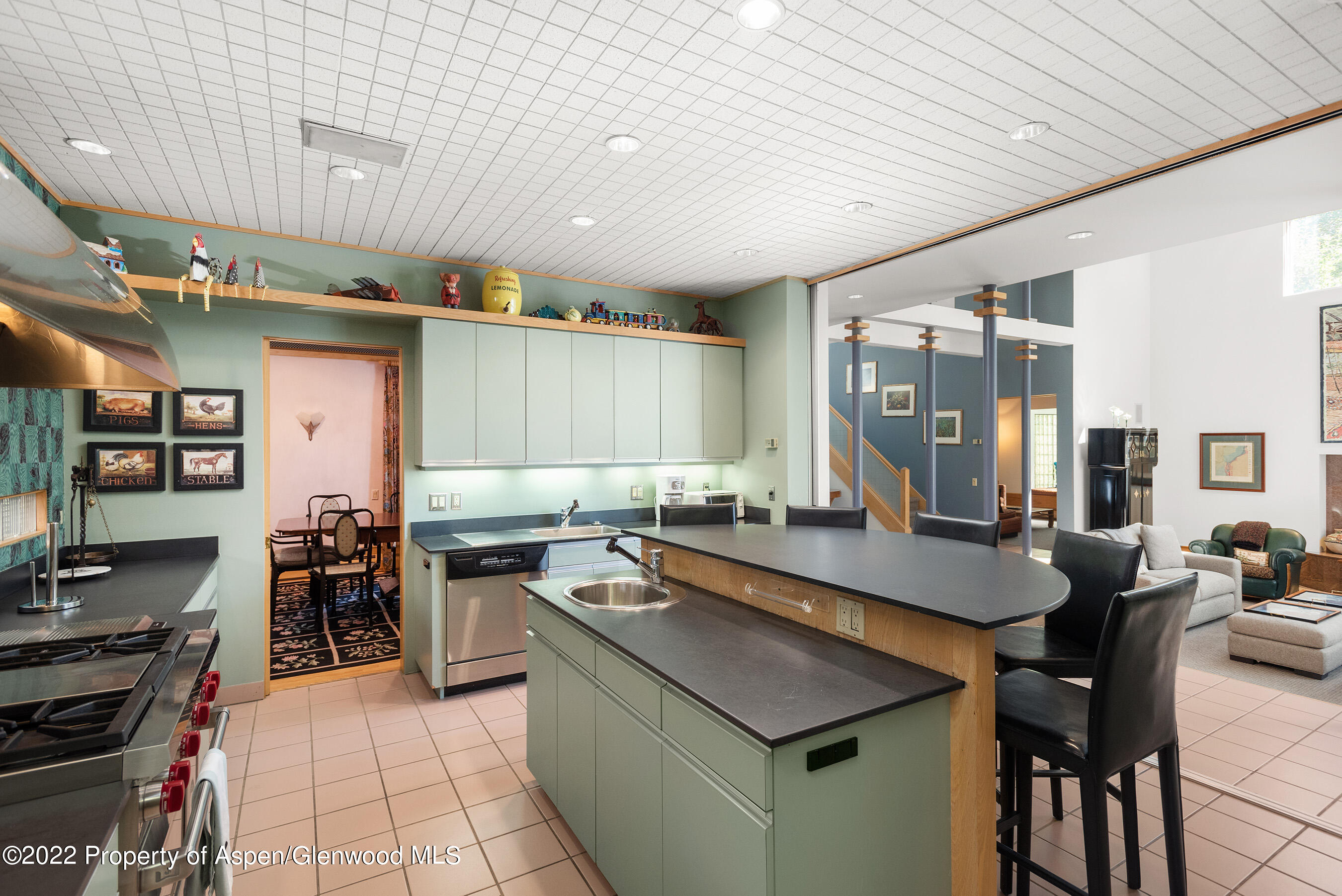 401 W Francis Street Aspen CO 81611