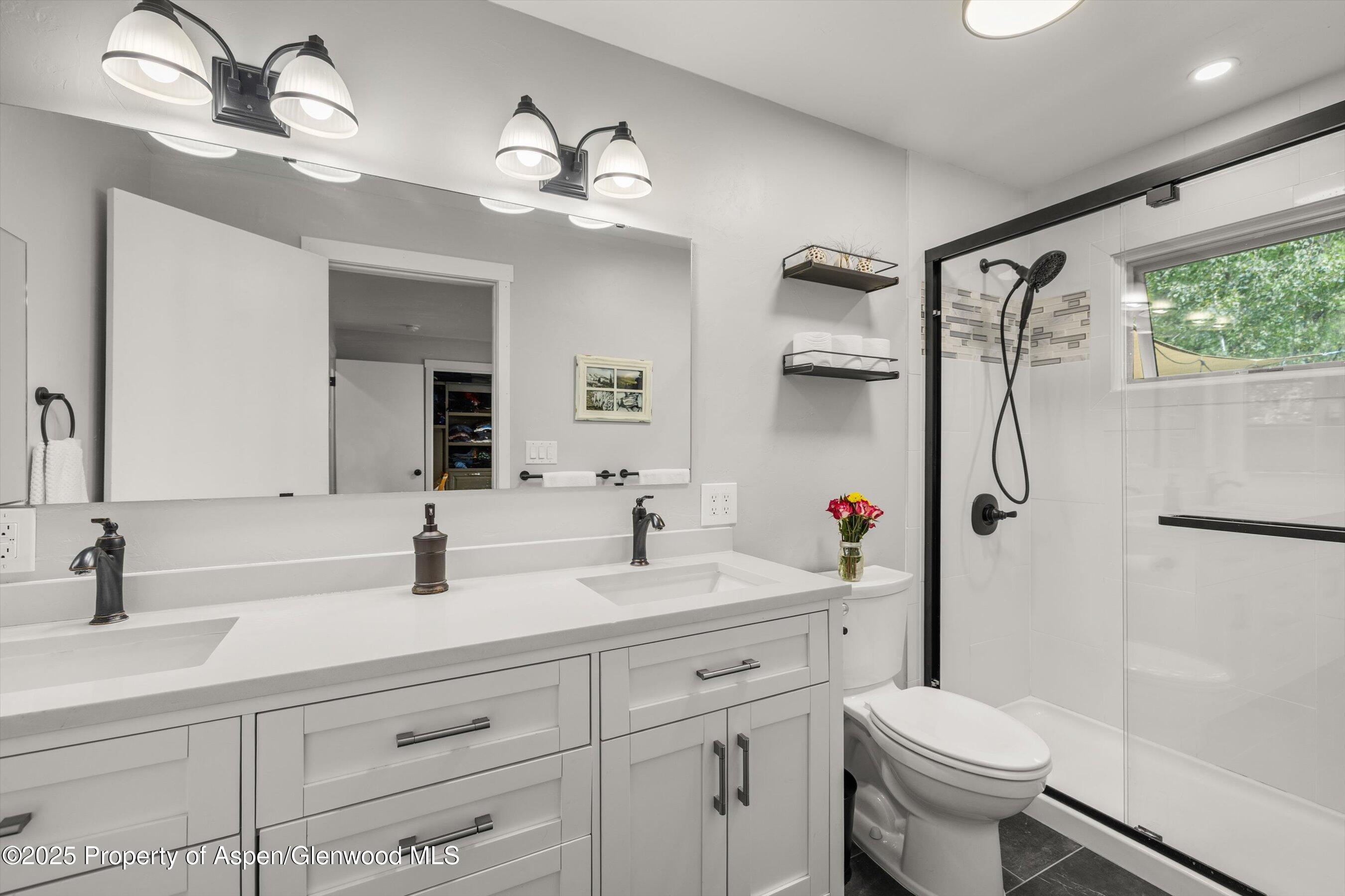 26 Maroon Drive Carbondale CO 81623